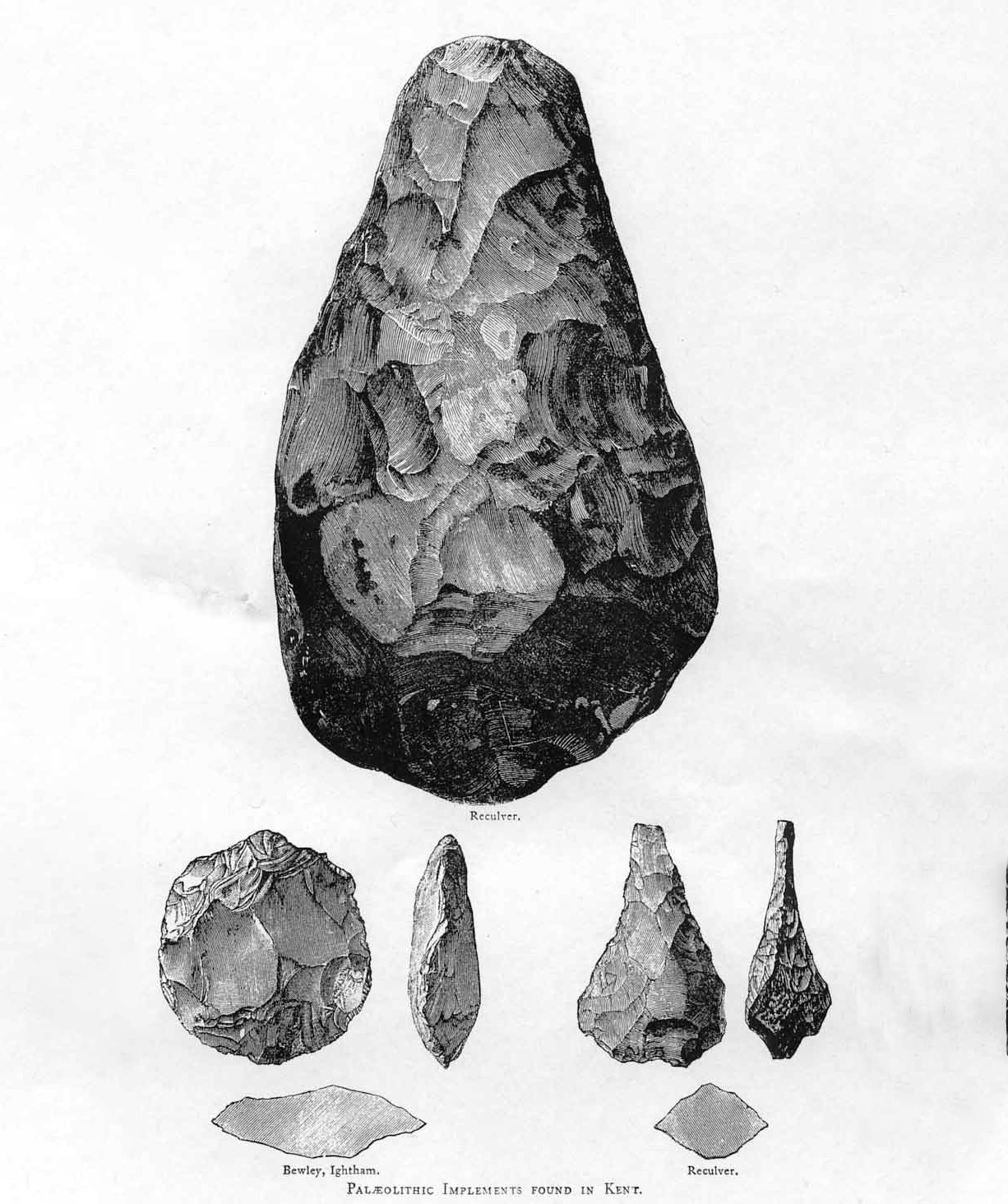 An illustration of the early hand-axes created by Homo Erectus.