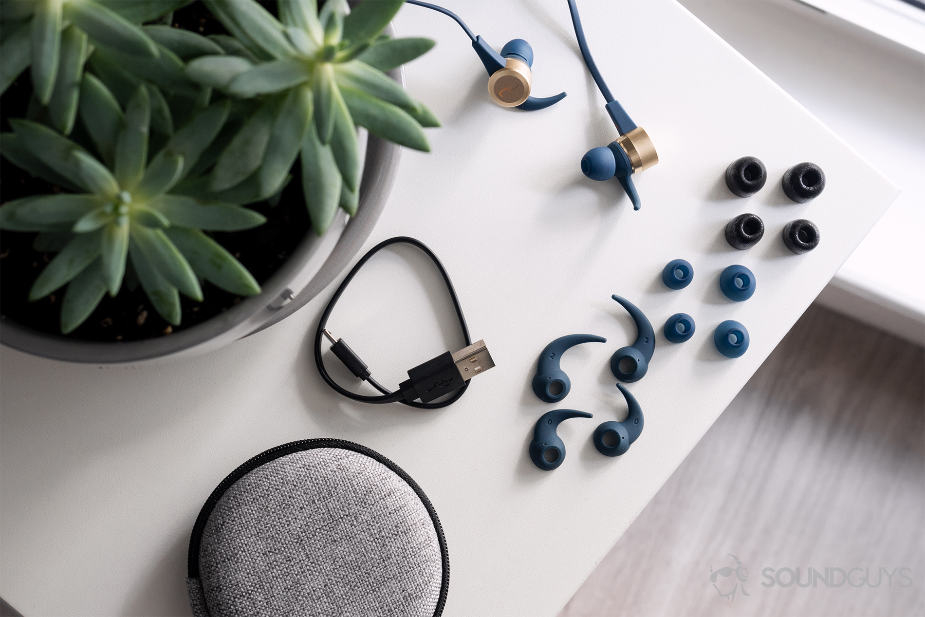 Optoma NuForce Be Live5: All inclusions of the earbuds laid out on a white table with a succulent in the top right corner of the (top-down) image.