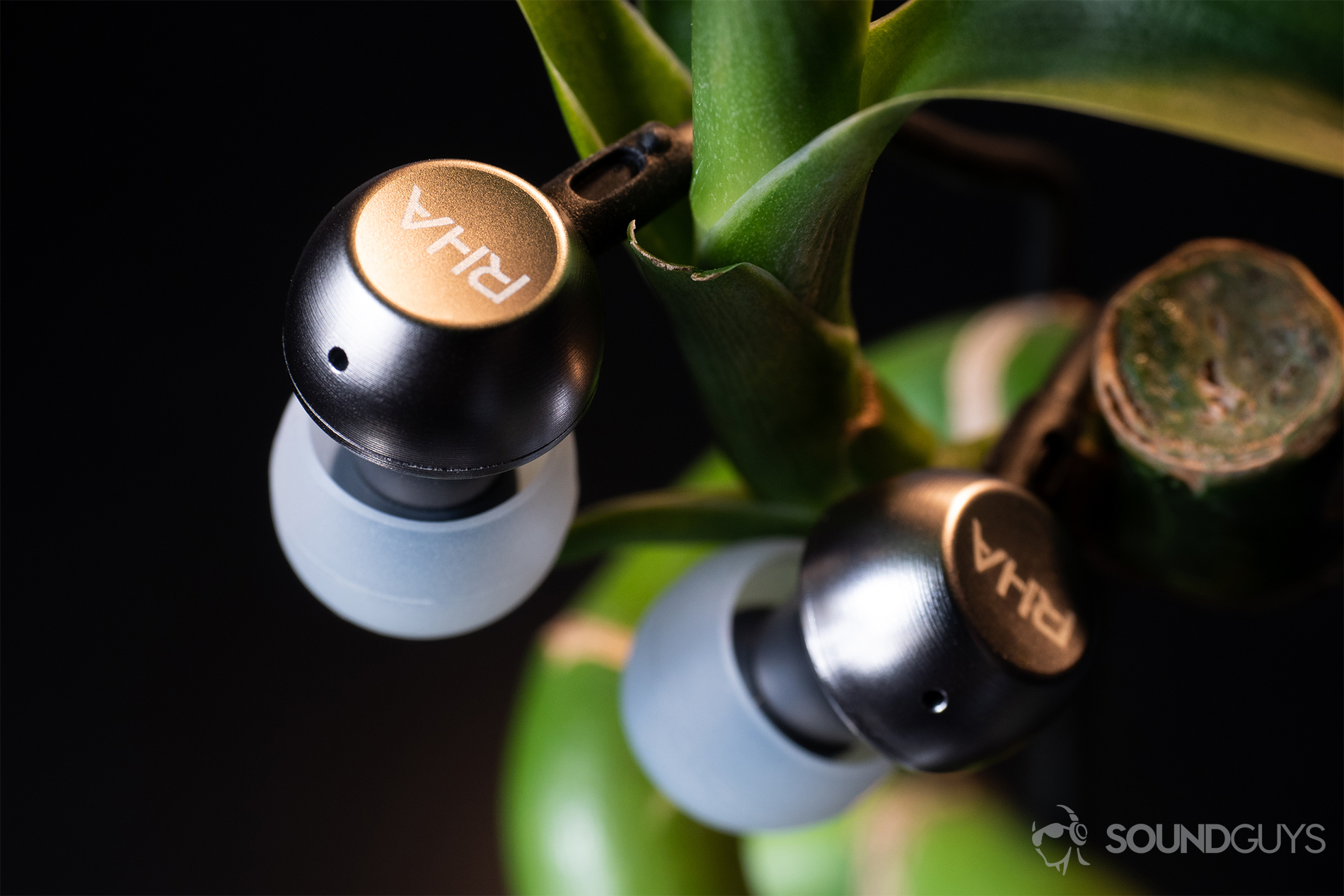 RHA MA390 Wireless: An angled, top-down image of the earbuds resting on a bamboo stick.