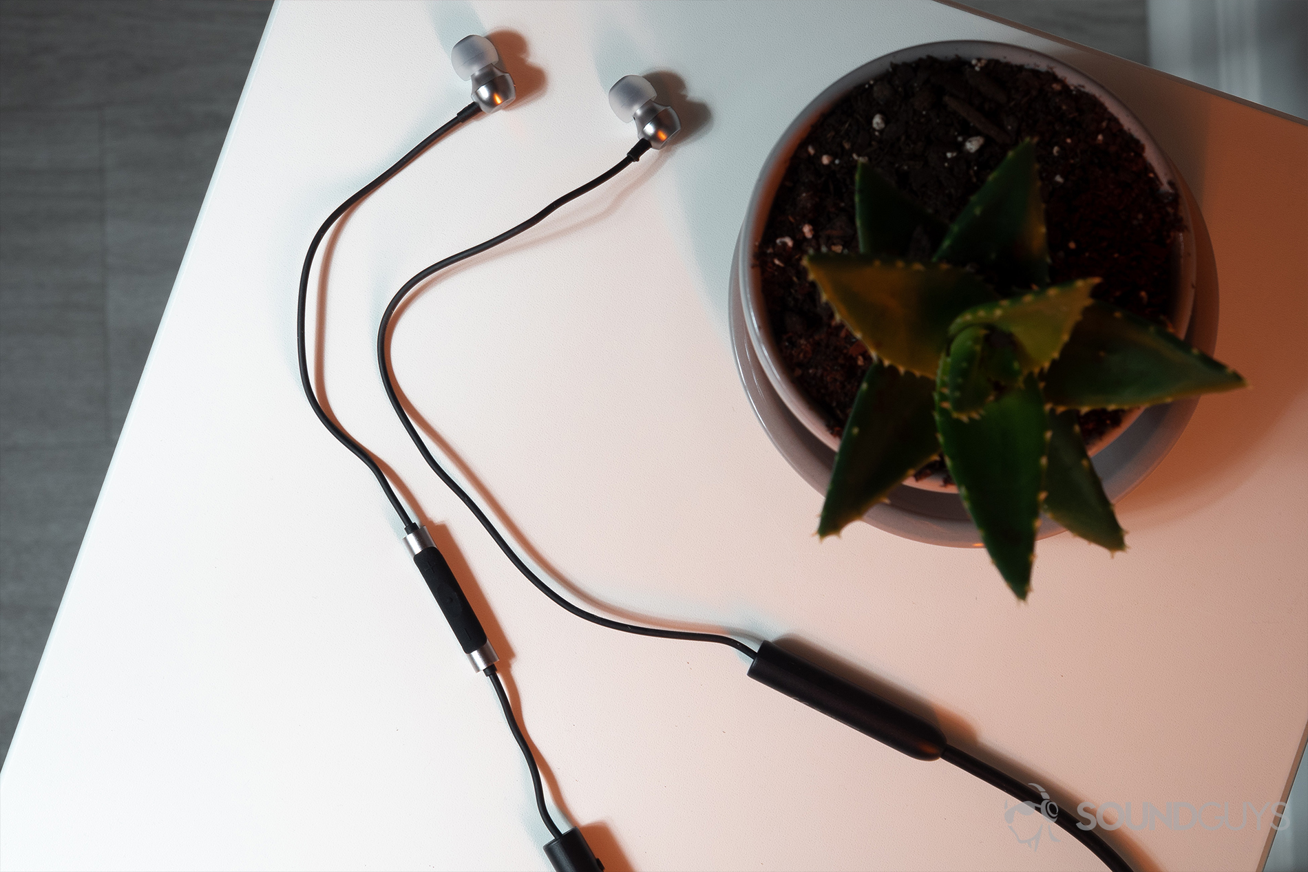 RHA MA390 Wireless: A top-down image of the earbuds on a white table with a succulent in the top-right of the image.