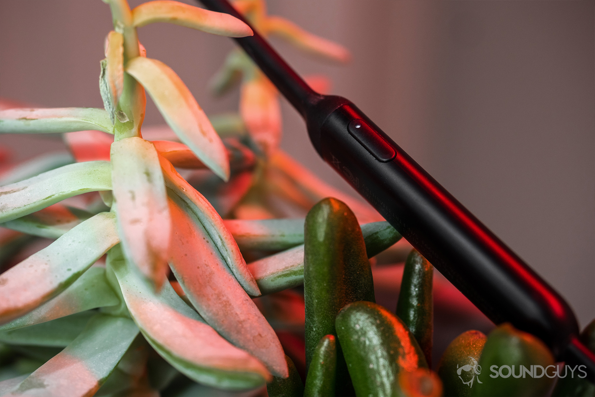 Beats_BeatsX-6 The BeatsX neckband that houses the power button rests on a pair of succulents with red LED lighting facing down.