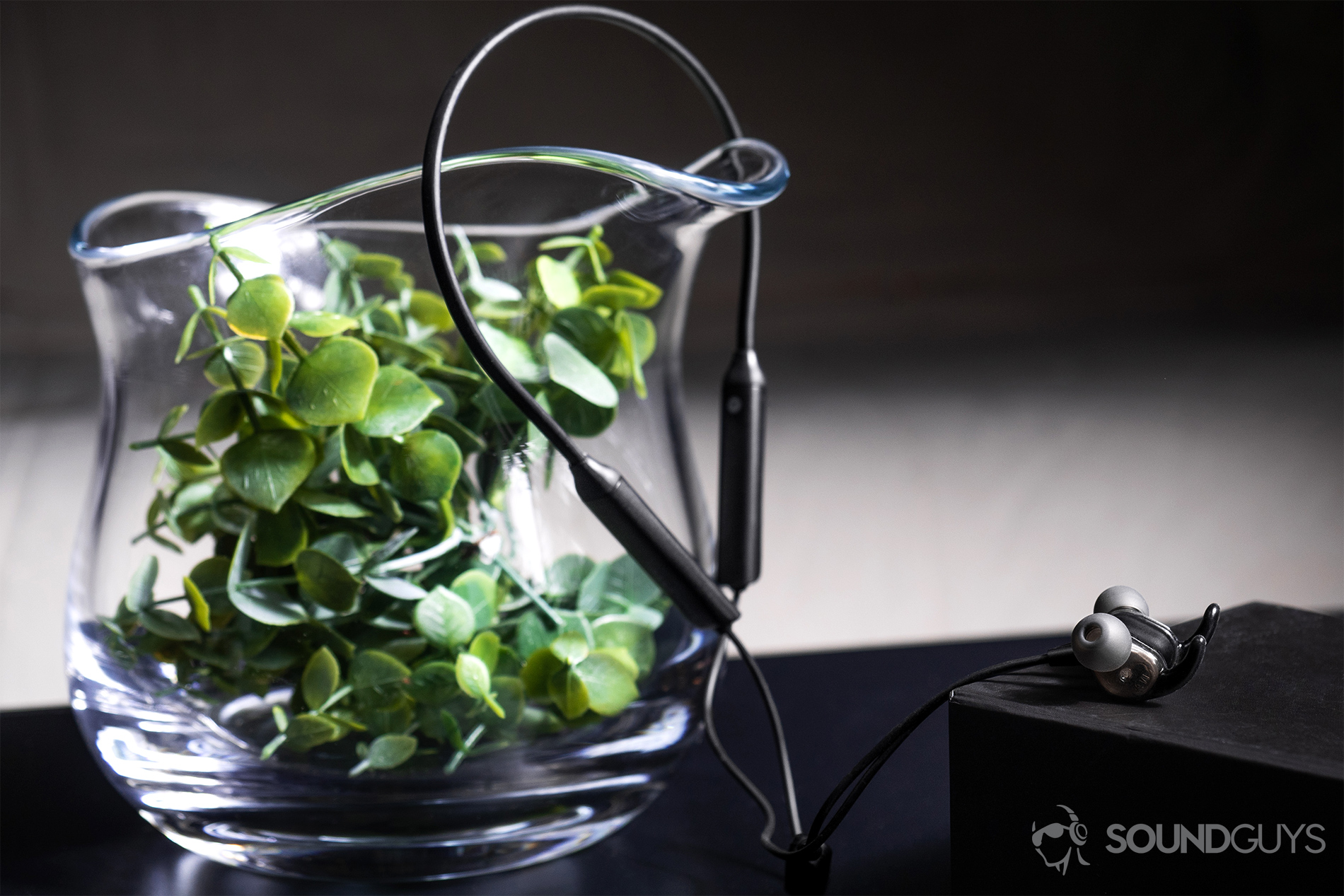 SoundPeats Engine: The neckband suspended from a large glass vase filled with artificial greenery and the earbud housings atop a black box.