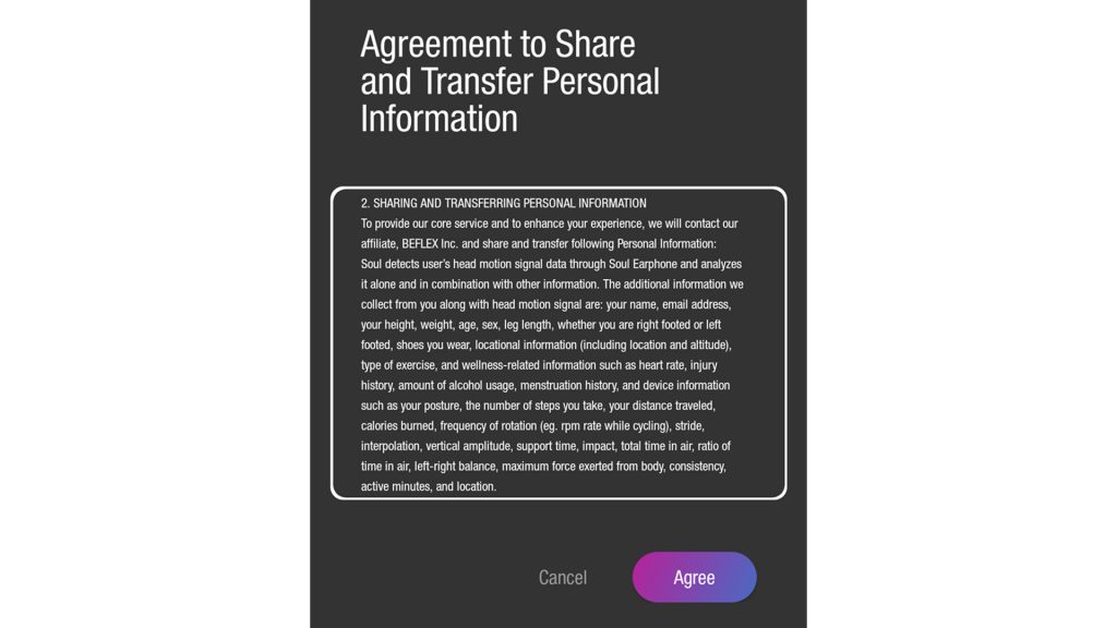 Privacy policy of Soul Run Free Pro app.