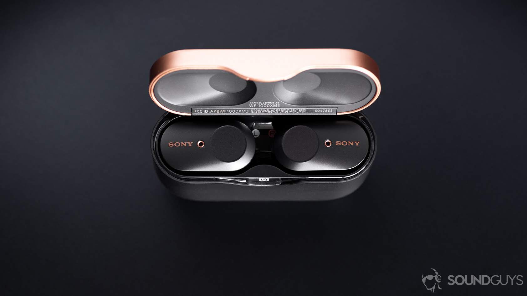 Academic Tech] Sony WF-1000XM3 wireless earbuds review – Prof. Peter L.  Falkingham