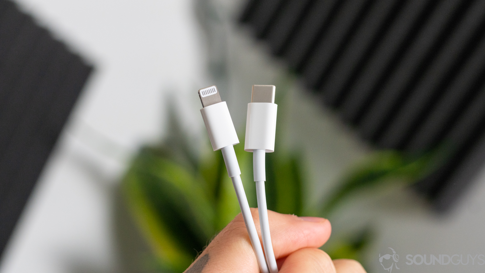 A photo of the AirPods Pro Lightning charging cable in front of a plant.