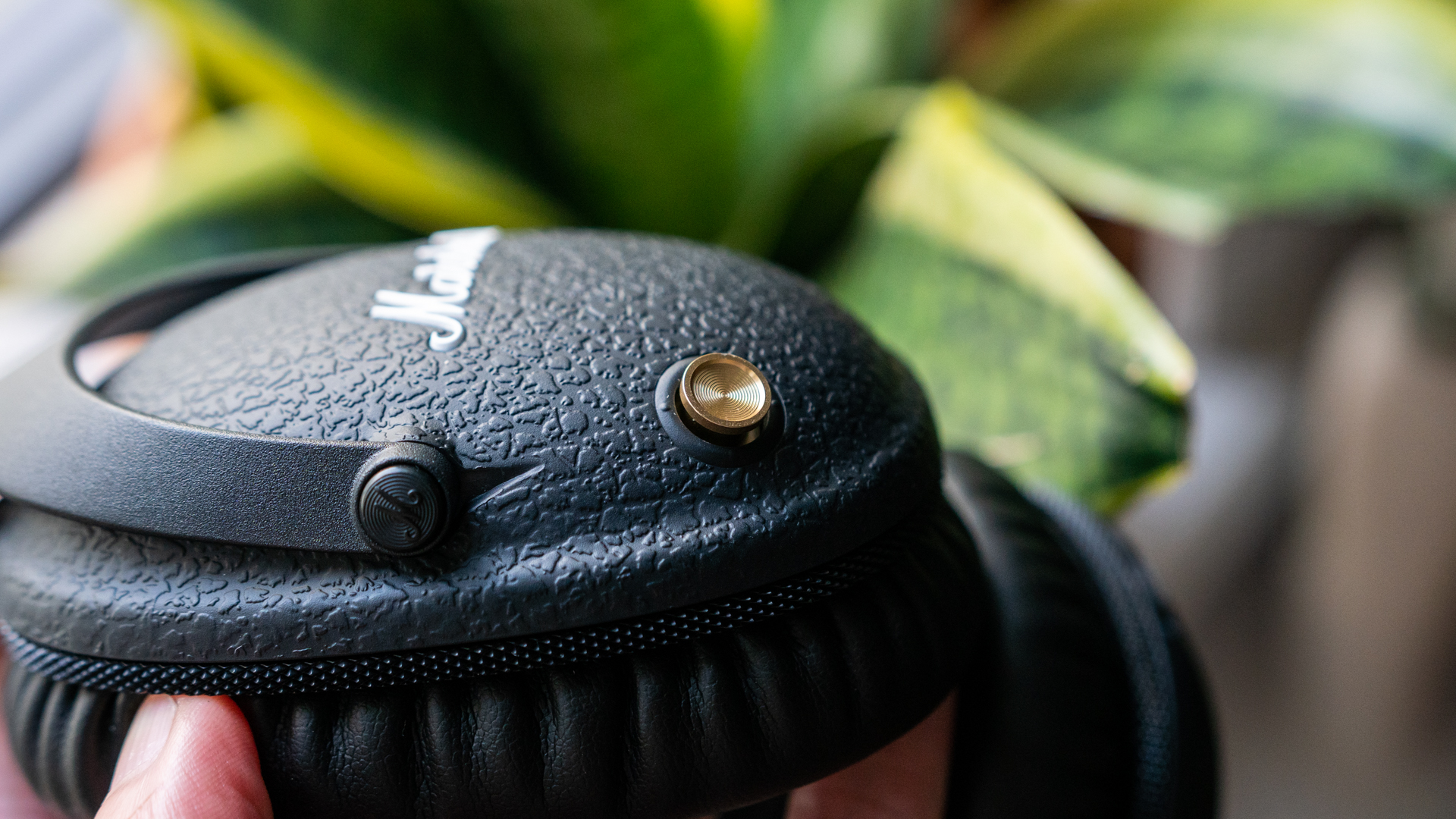 Close-up of golden control knob on the Marshall Monitor II ANC headphones in front of green plants
