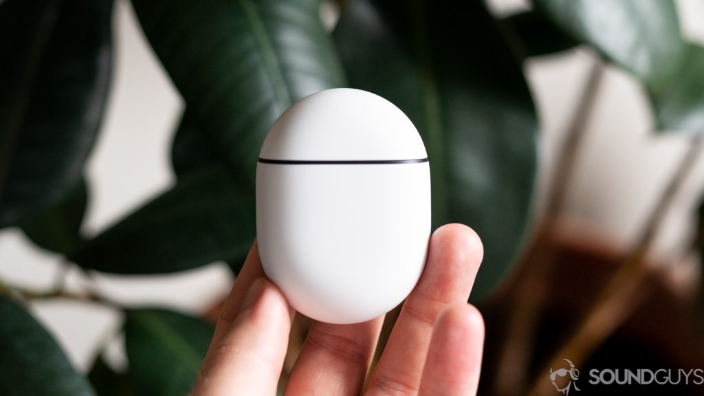 Man holding closed charging case of the new Google Pixel Buds with plant leaf in background.