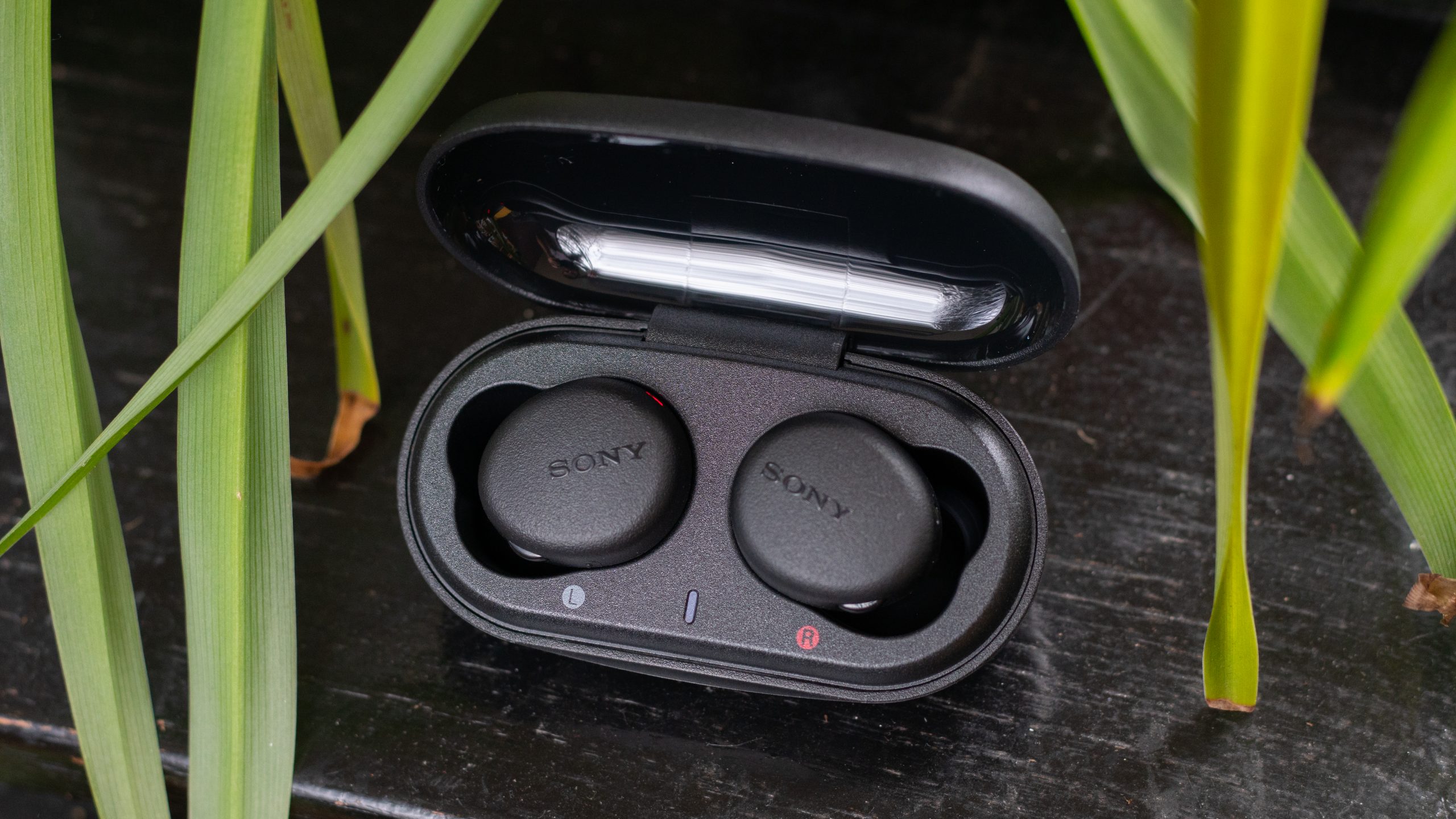 Sony WF-XB700 earbuds in the charging case with the lid open on a black table with plants in the foreground