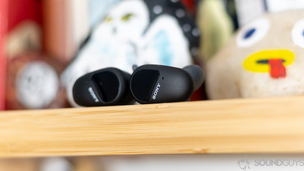 Sony WF-SP800N on a bookshelf next to a painted rock.