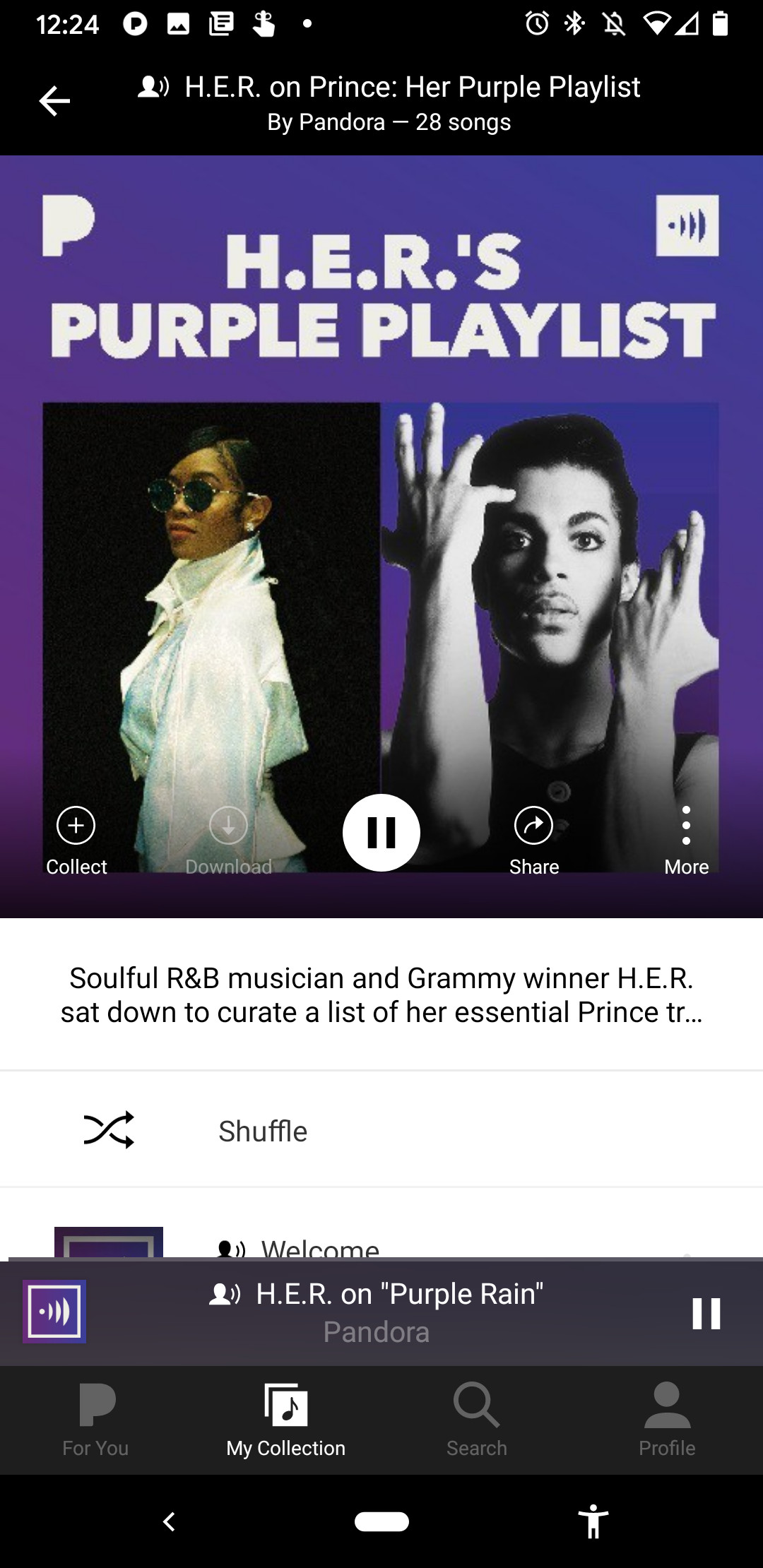 Pandora artist curated playlist screenshot