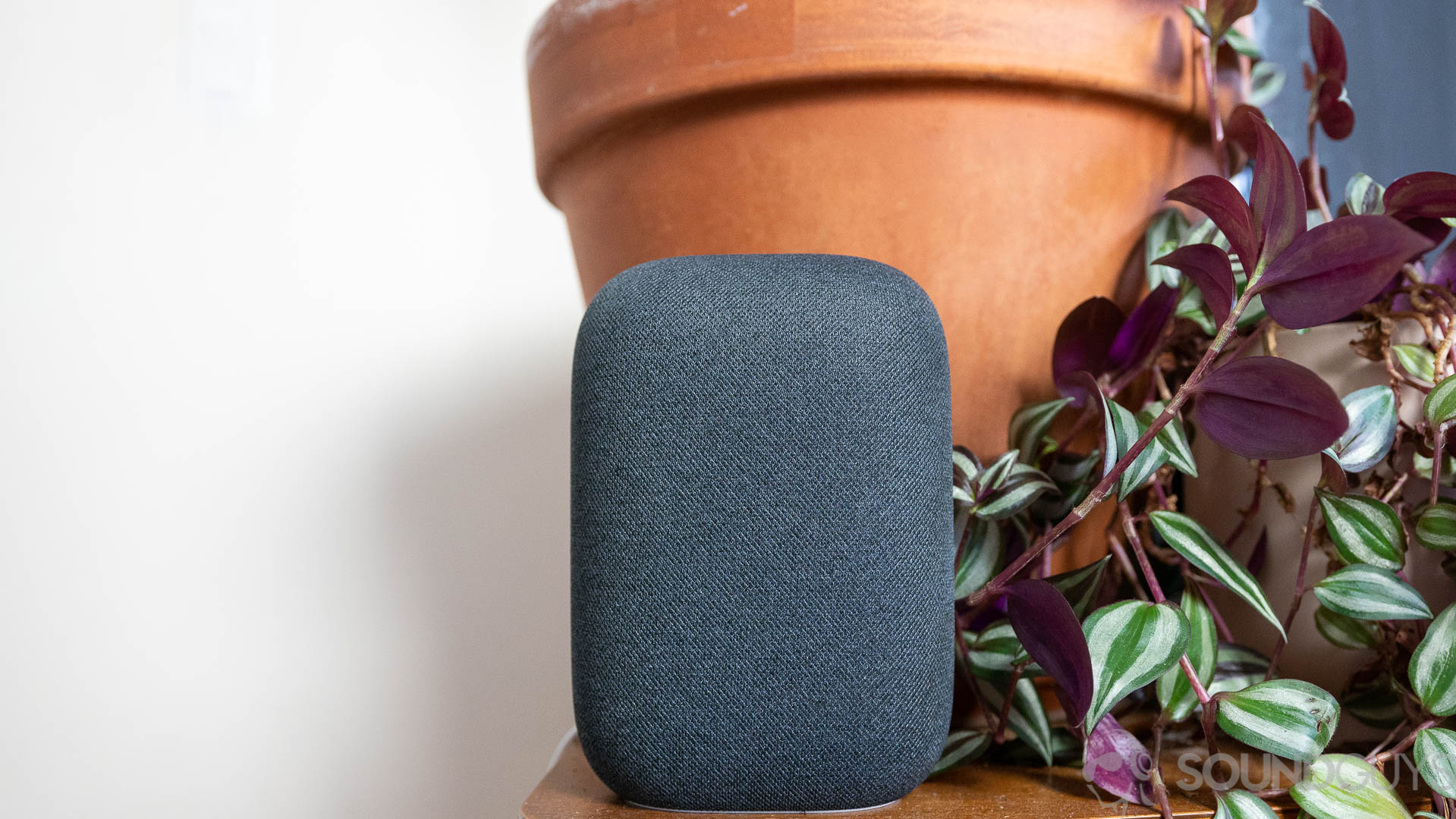 The Google Nest Audio speaker in gray pictured in front of plants on a table
