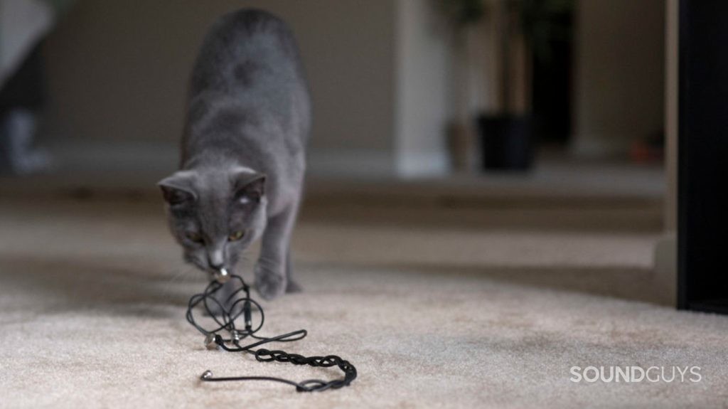 A cat drags wired earbuds across the floor of an apartment.