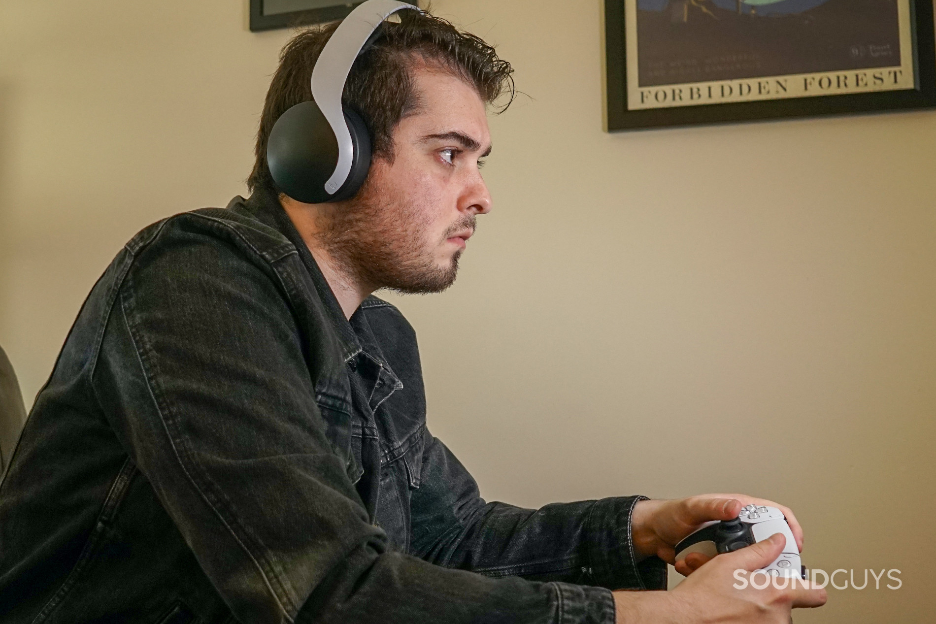 arc Perforation bag Sony PULSE 3D Wireless Headset review - SoundGuys