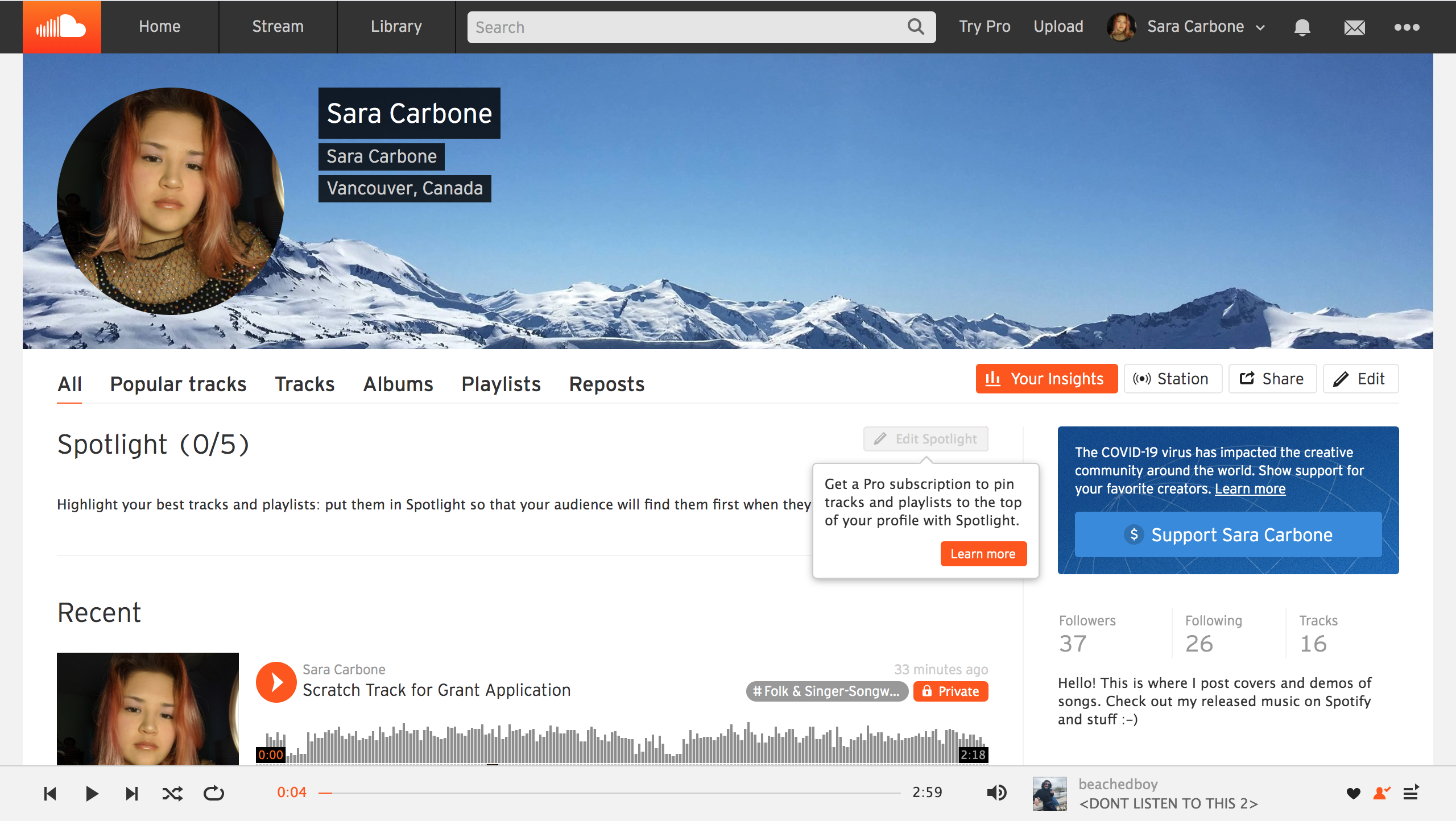 Screenshot of SoundCloud interface profile editor.