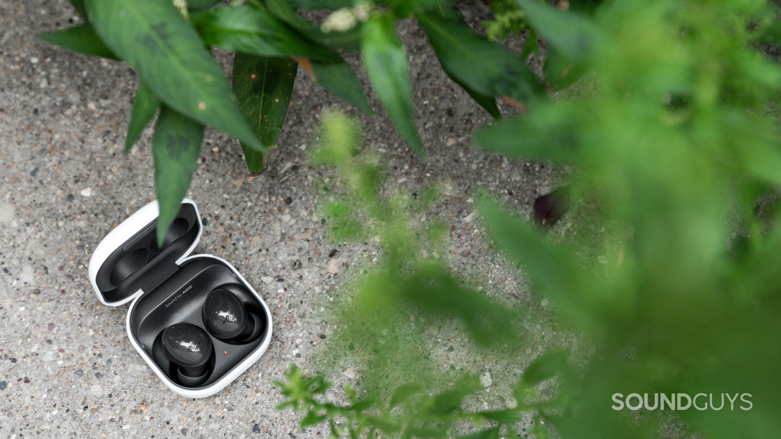 The Samsung Galaxy Buds 2 noise canceling true wireless earbuds in the open charging case, partially obscured by greenery.