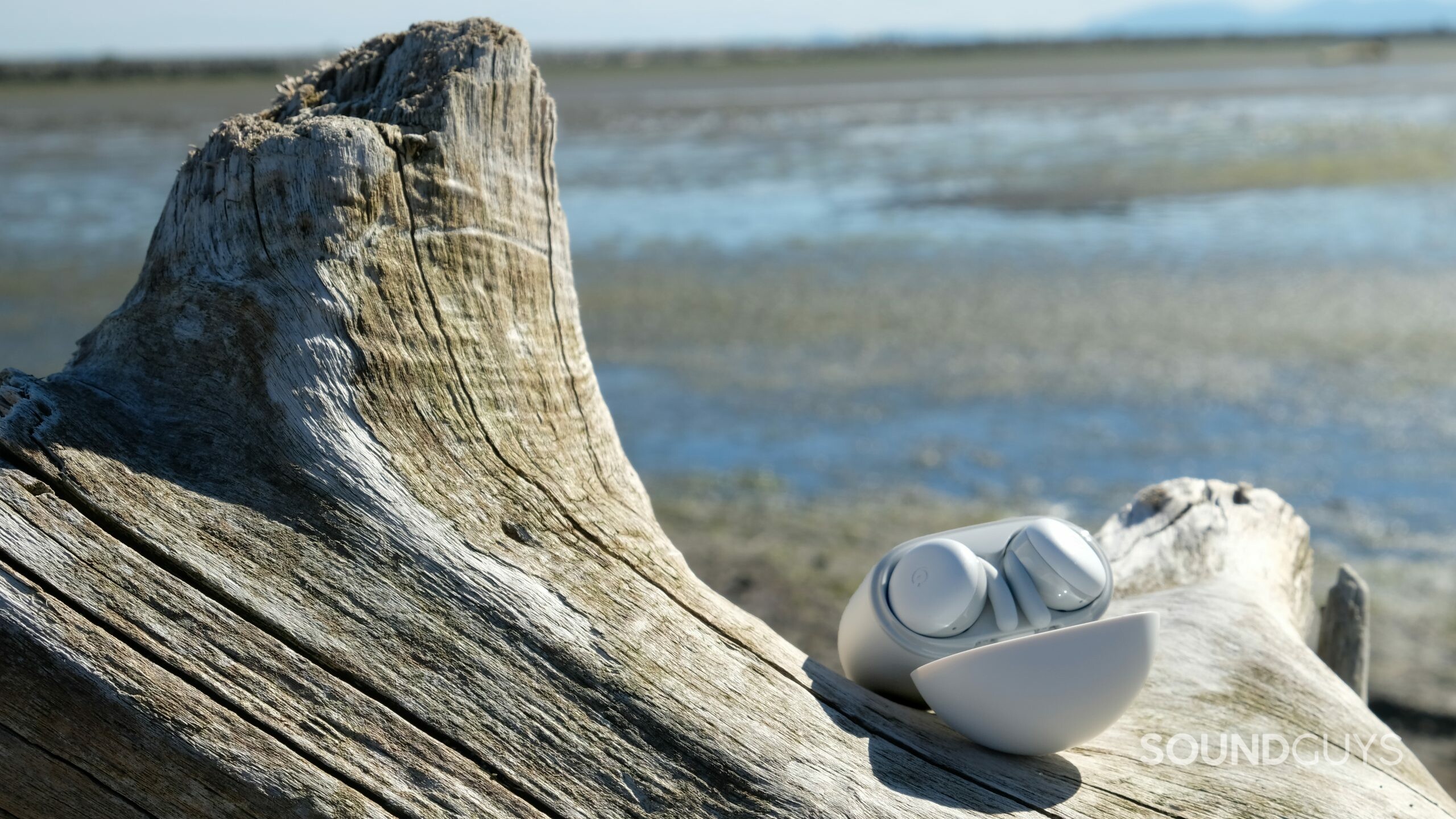 The Google Pixel Buds A-Series are sitting on a piece of driftwood at a beach.