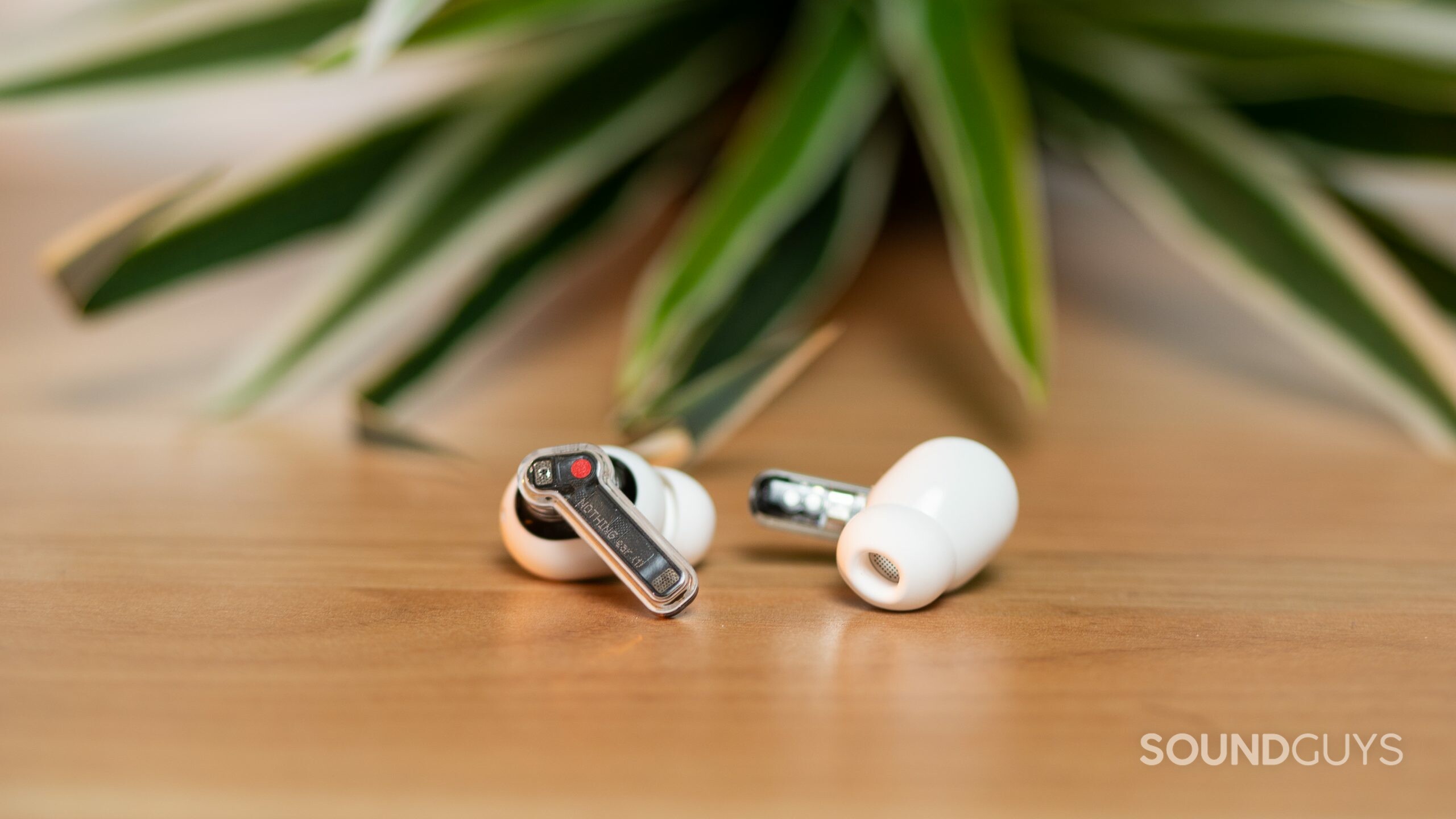 Nothing Ear 1 earbuds on table with plant in background.