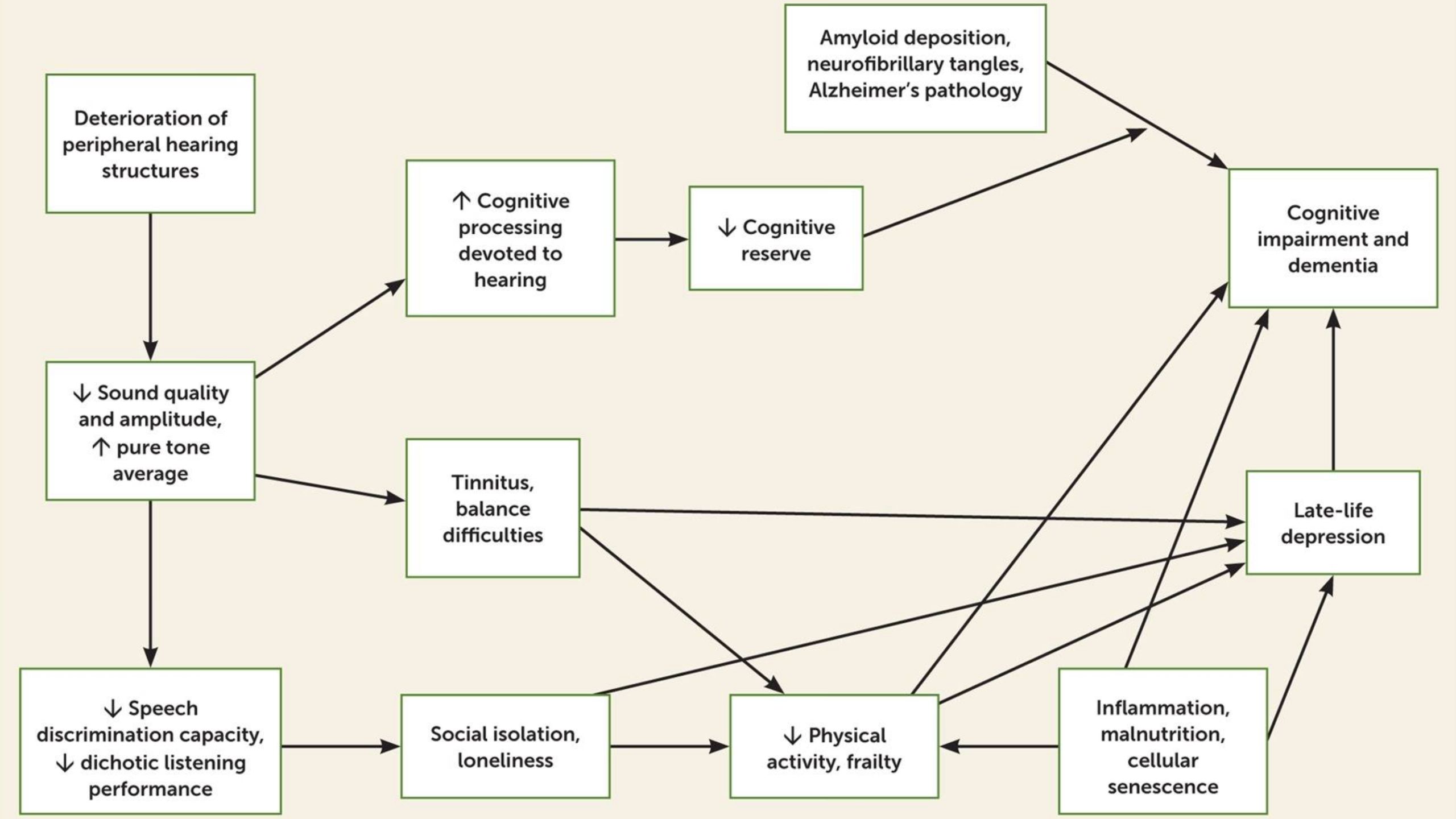 A flowchart depicting the clinical and behavioral mediators linking age-related hearing loss to neuropsychiatric dysfunction.