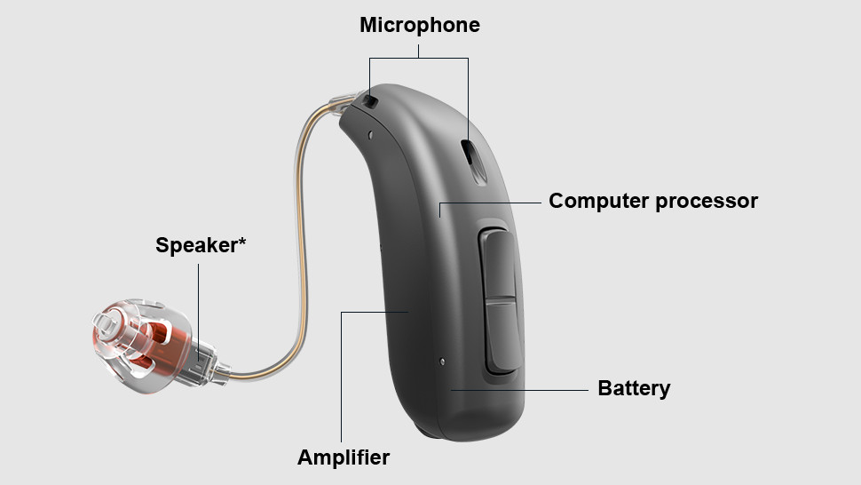 A receiver-in-canal hearing aid with description of its components.