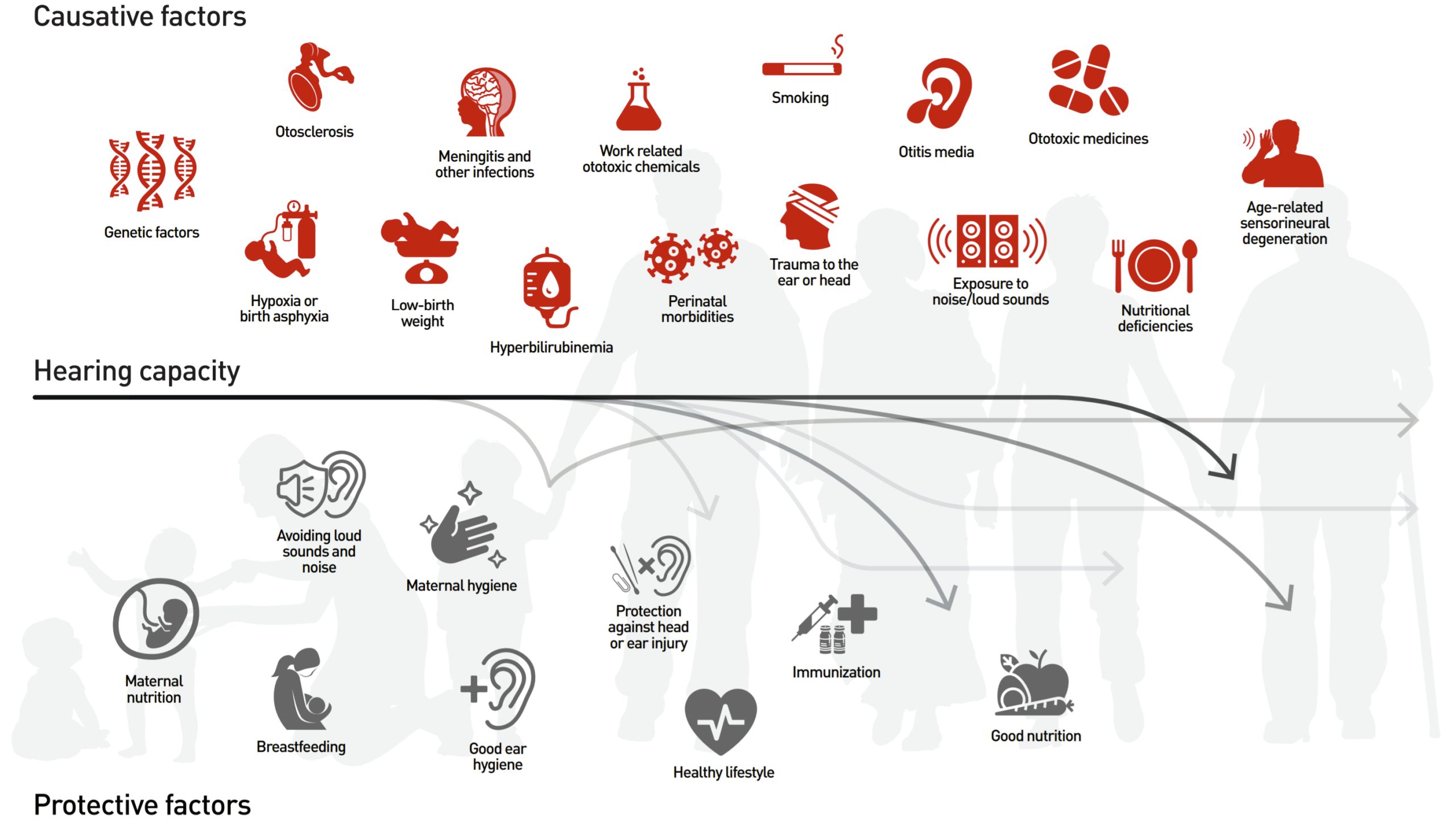 Hearing Loss Cause Capacity Protection The causes of hearing loss from birth to old age, how they affect hearing capacity, and ways to protect from hearing loss throughout life.