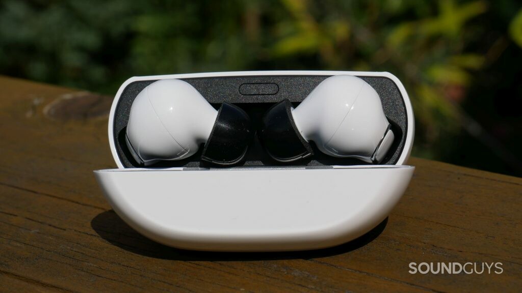 The Olive Pro in their charging case.