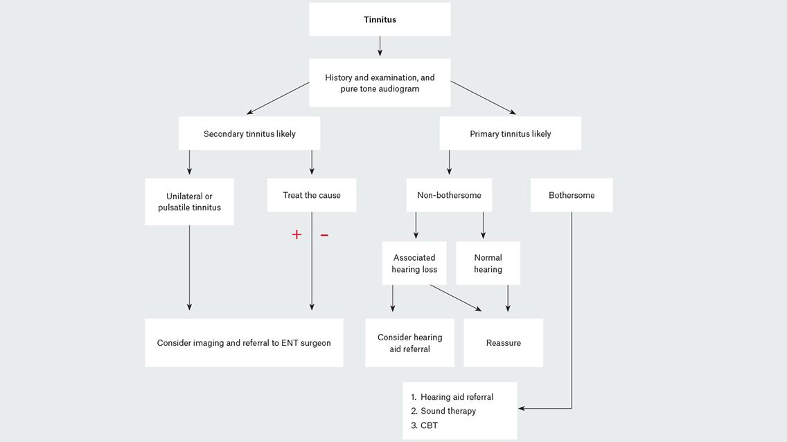 A flowchart depicting the suggested assessment and management pathway in patients with tinnitus.