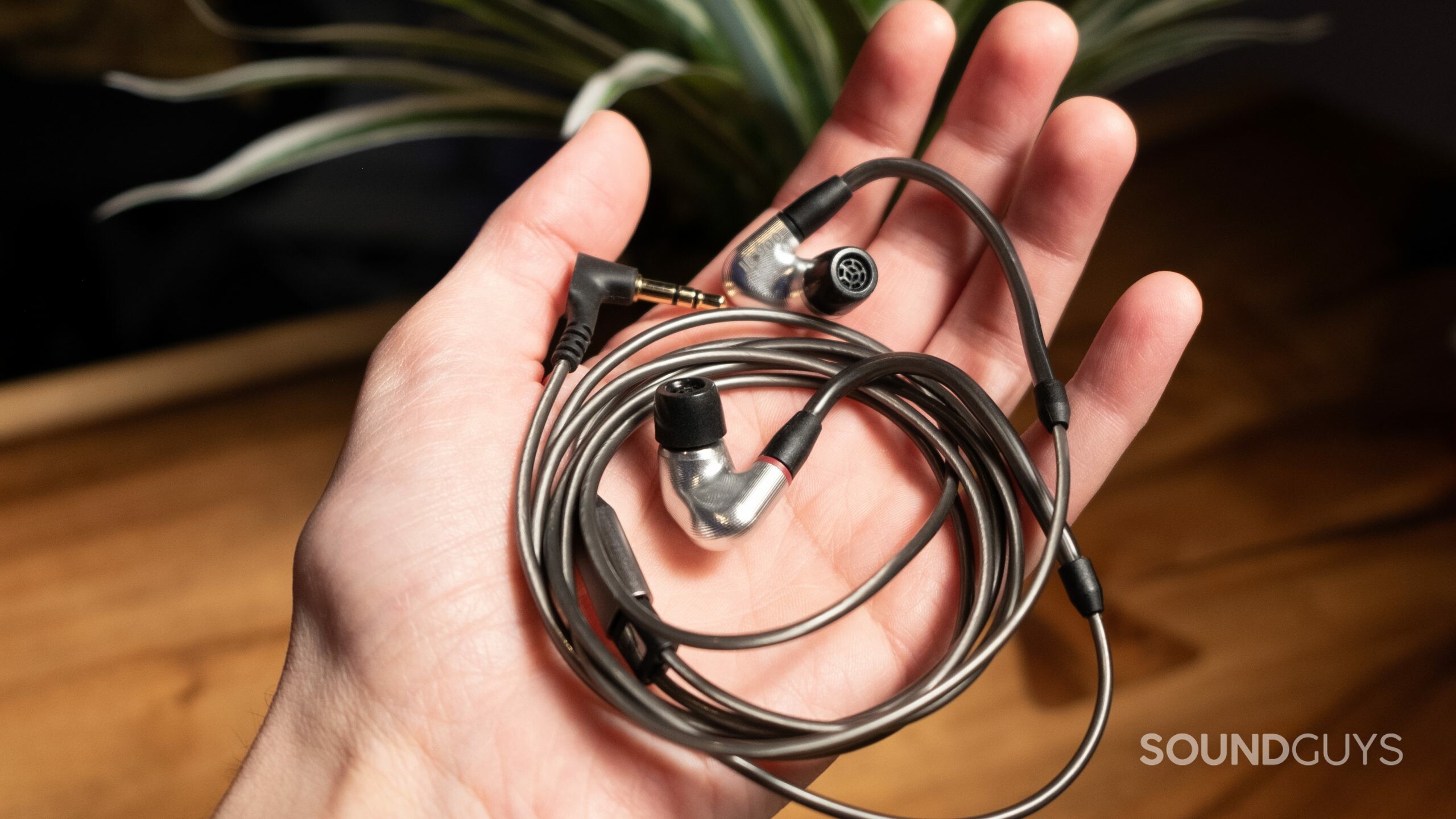 The Sennheiser IE 900 coiled up in a hand.