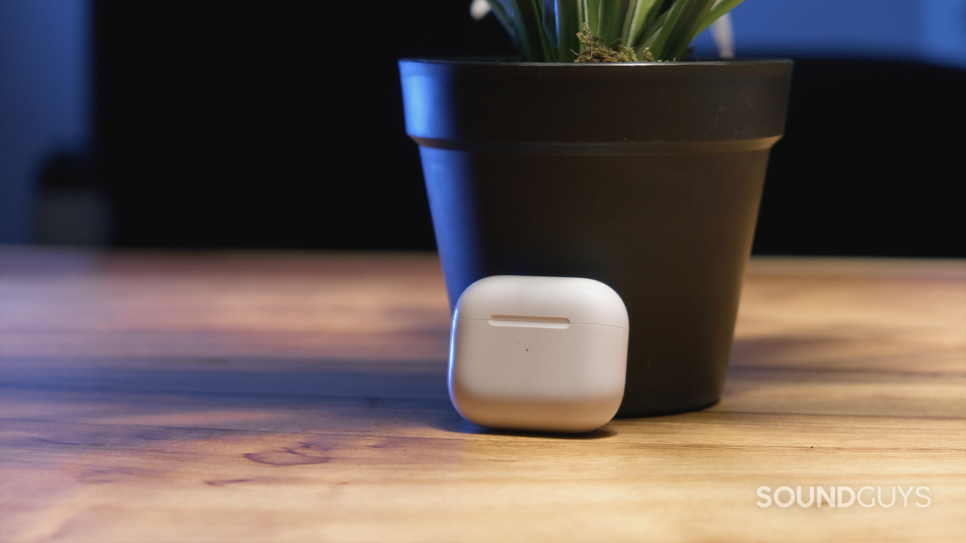 The Apple AirPods (3rd generation) closed case rests against a potted plant on top of a wooden table.