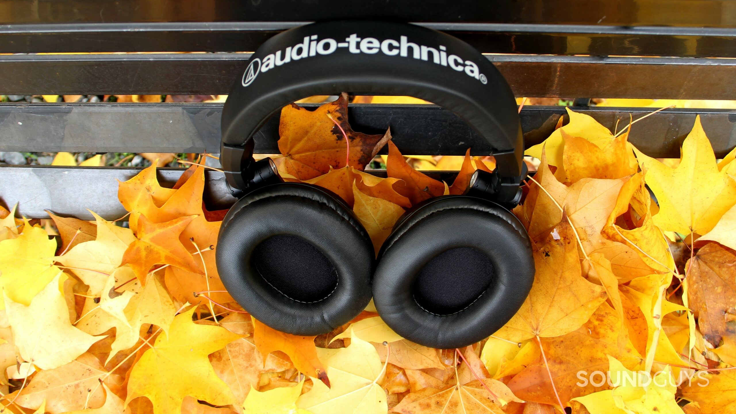 Audio-Technica ATH-M50xBT2 on a bench with leaves showing the cushions of the ear cups.