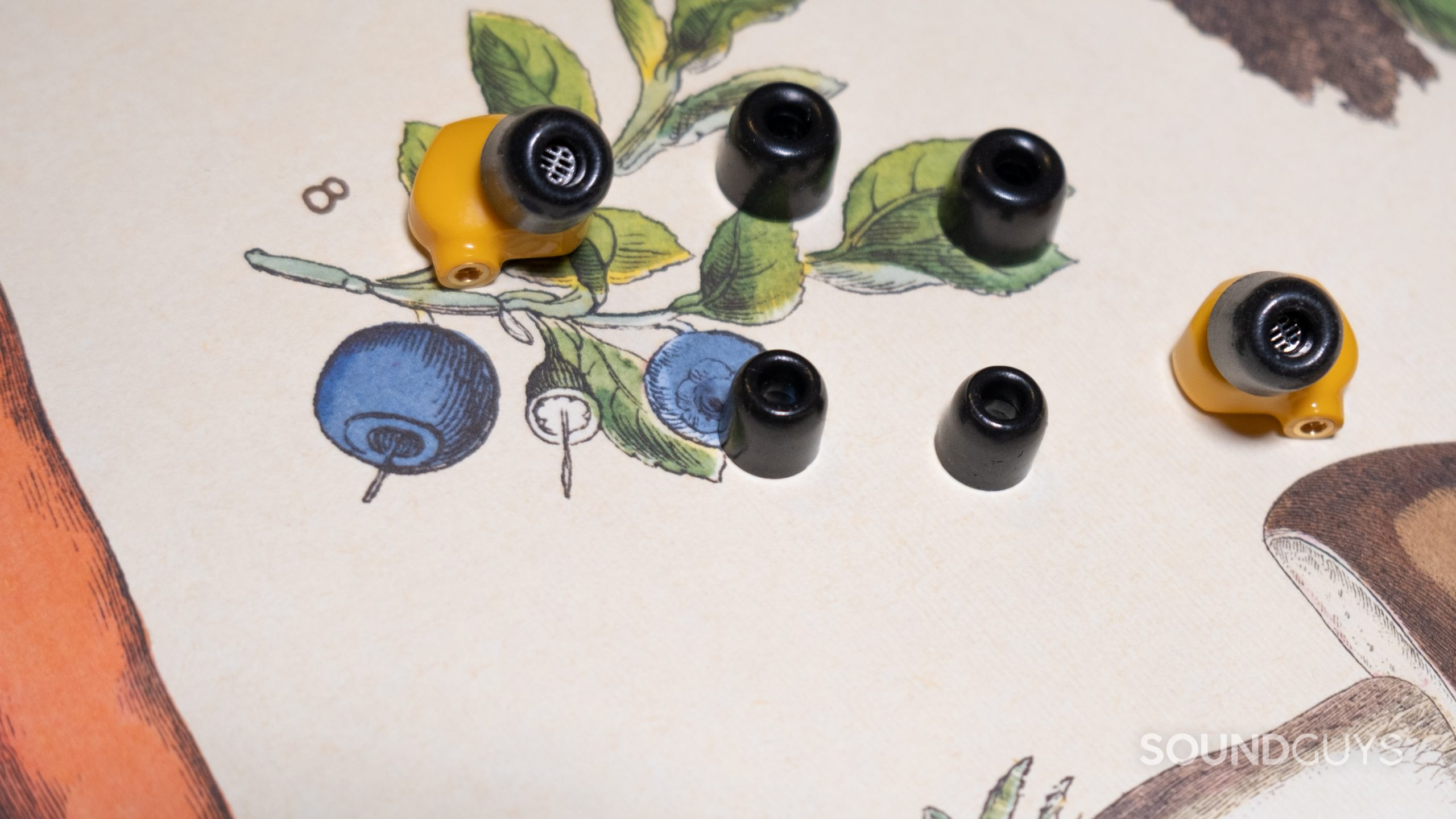 The foam ear tips in sizes small through large shown with the Campfire Audio Honeydew.