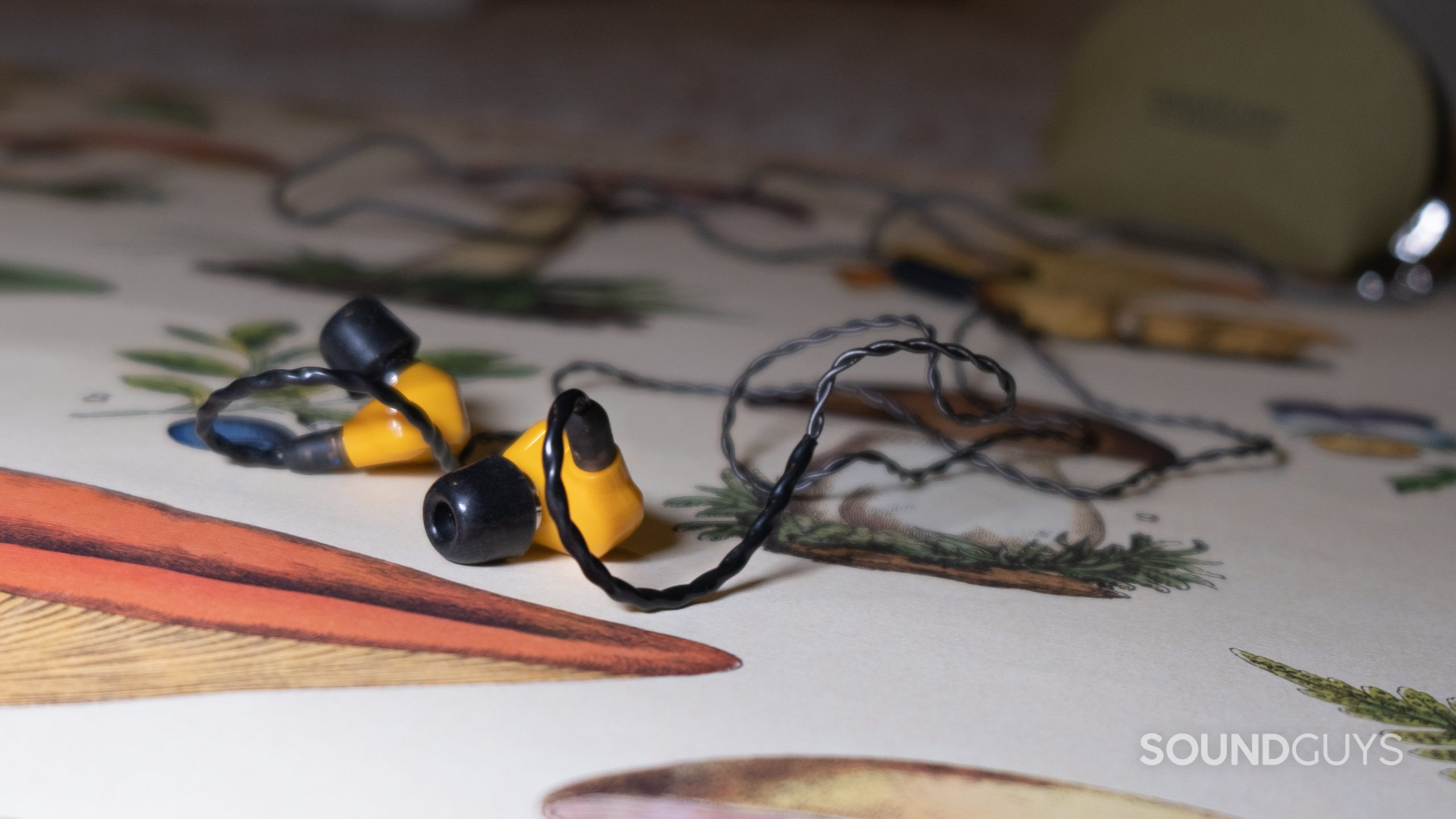 Image of Campfire Audio Honeydew earbuds with cables and case in the background.