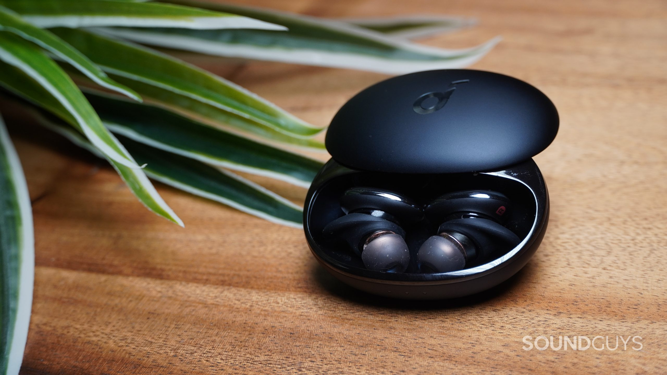 Anker Soundcore Liberty 3 Pro earbuds inside open charging case on wood table with plant in background.