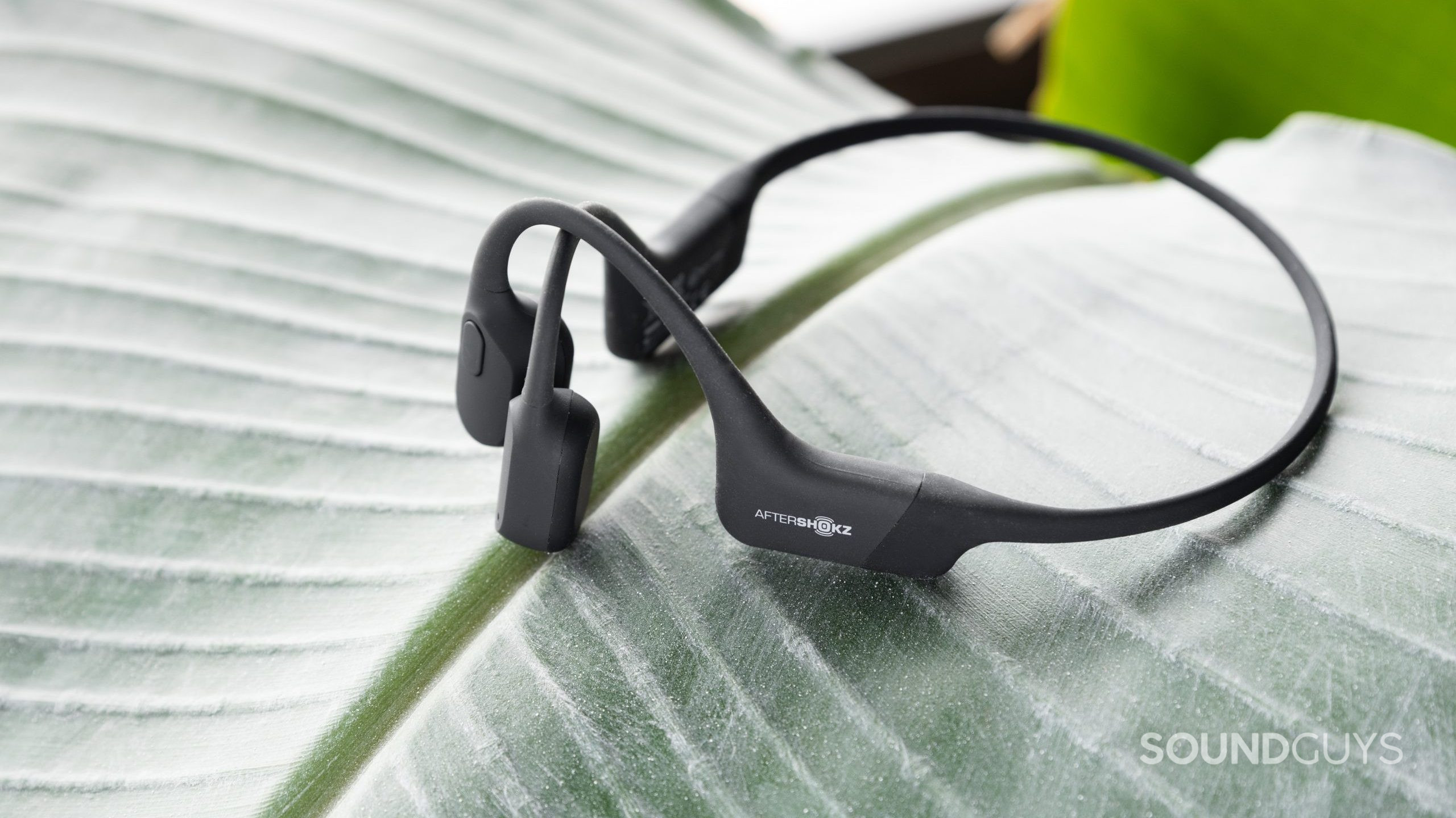 The Aftershokz Aeropex bone conduction headphones rest on a leaf font where the vein splits.