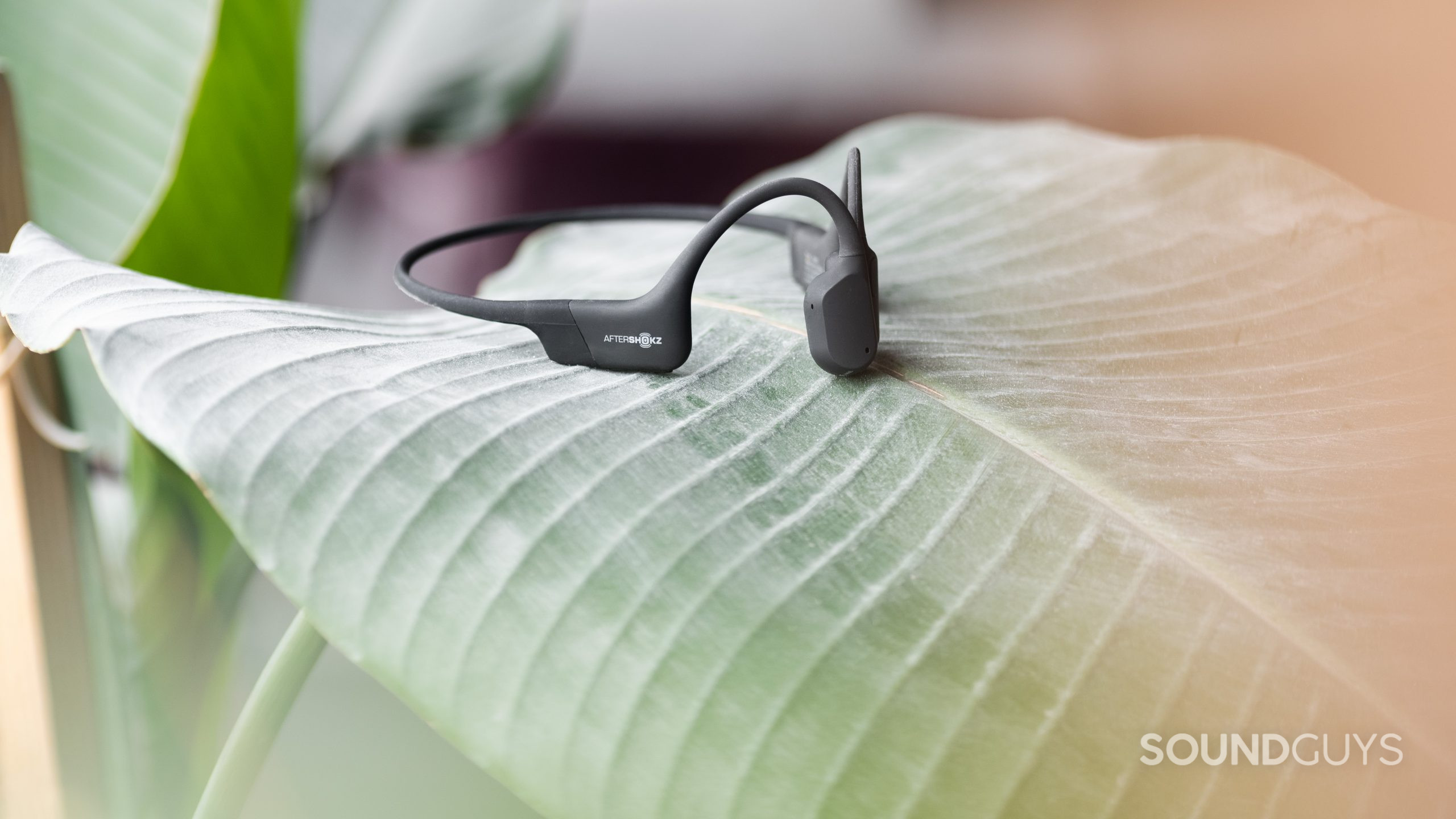 The Aftershokz Aeropex bone conduction headphones rest on a large leaf fond.