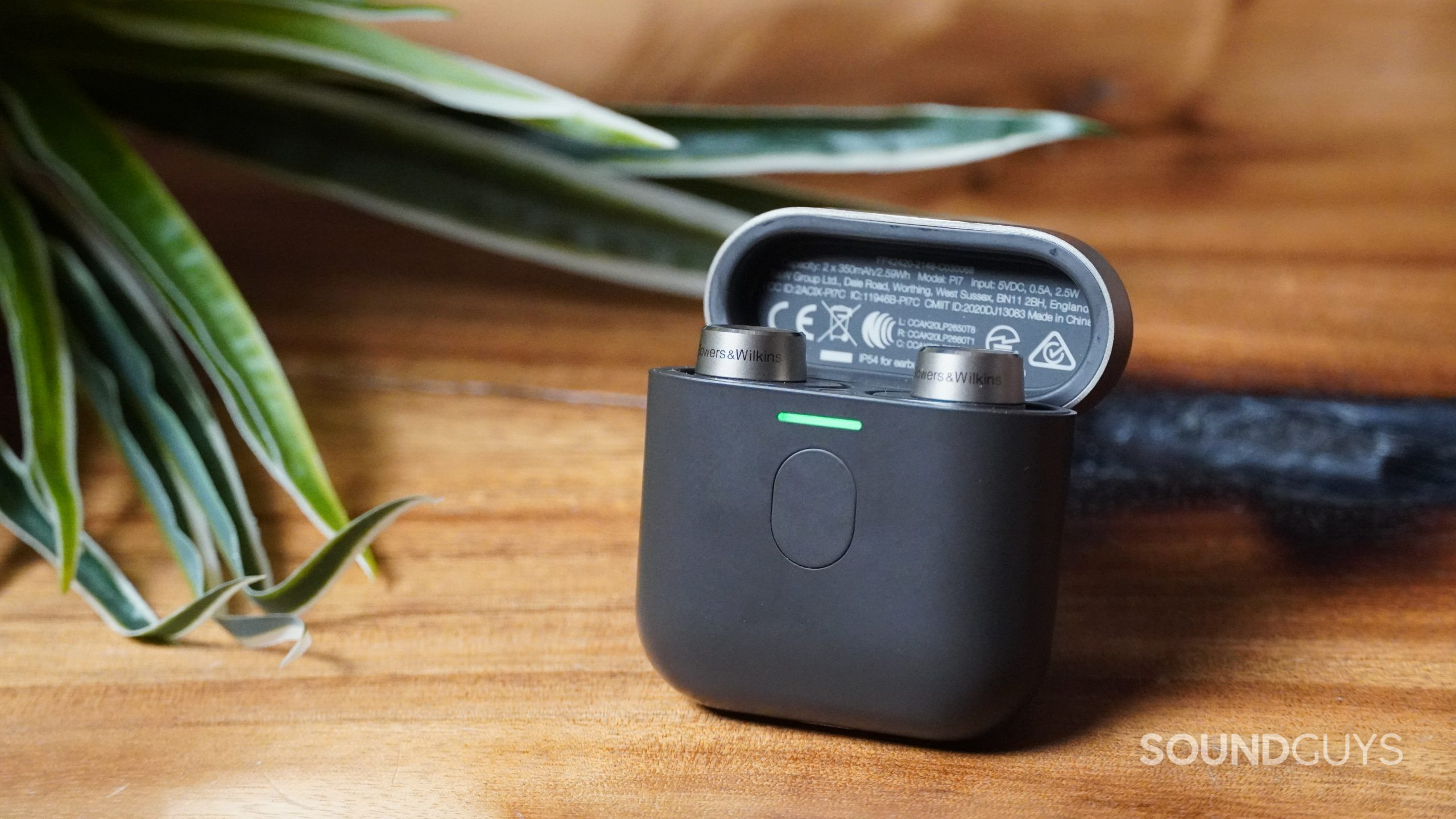 Bowers and Wilkins PI7 earbuds in charging case next to a plant.