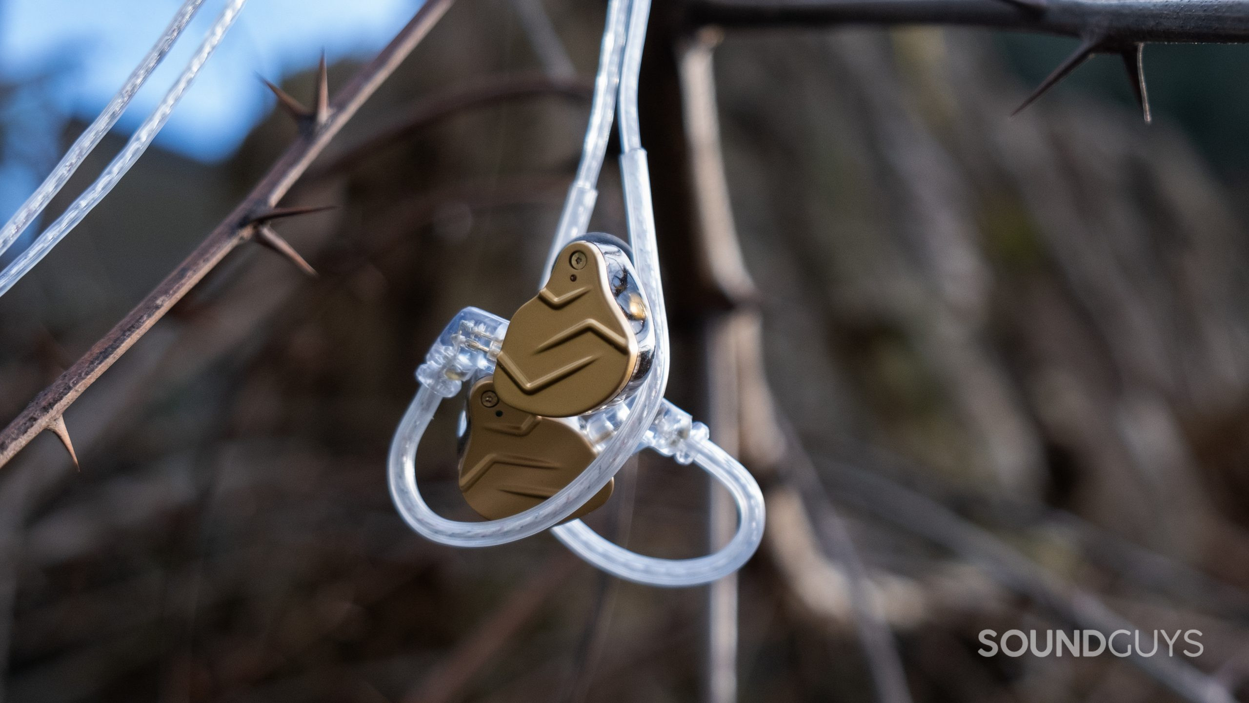 From a spiked branch the KZ ZSN PRO X hangs showing the shape of the cable bends.
