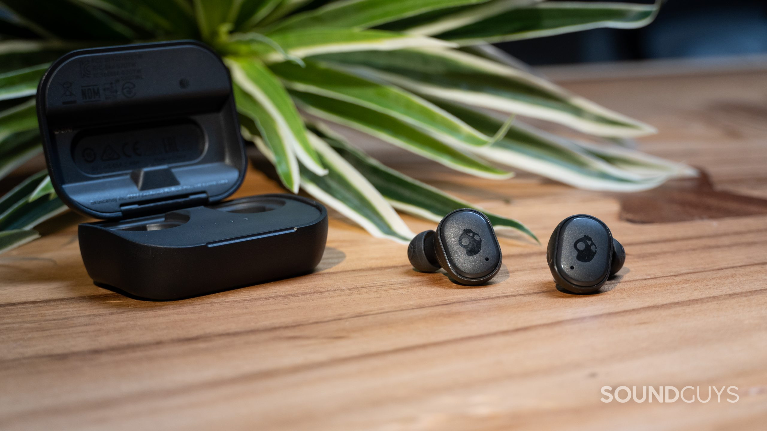 Skullcandy Grind True Wireless Earbuds on table in front of plant