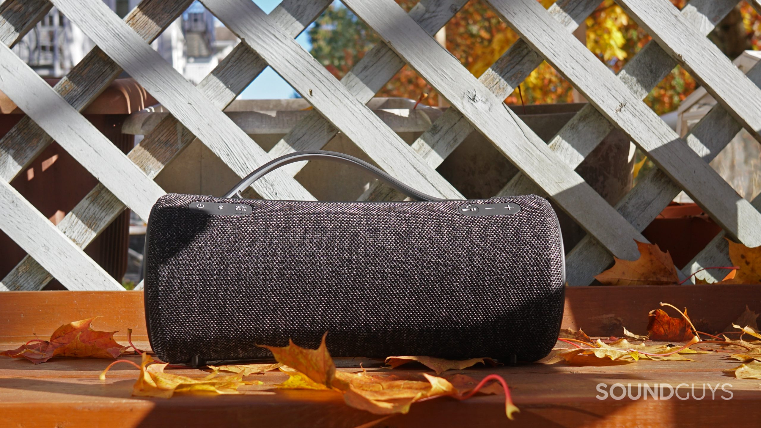 The Sony SRS-XG300 sits on a wooden surface surrounded by an autumnal spread of fallen leaves.