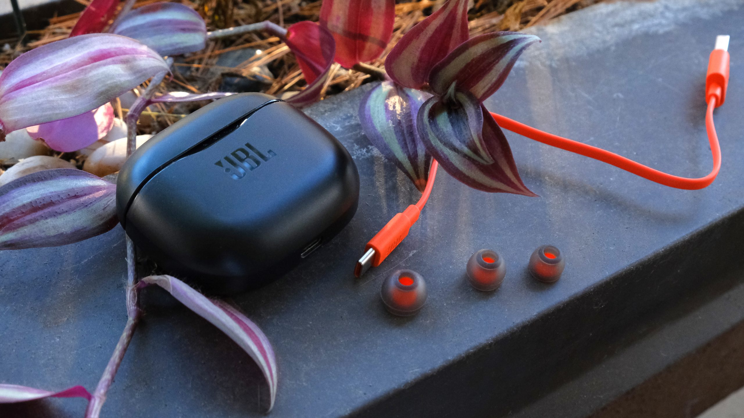 On a distressed metal ledge with a vine is the JBL Tune 125TWS with its accessories.