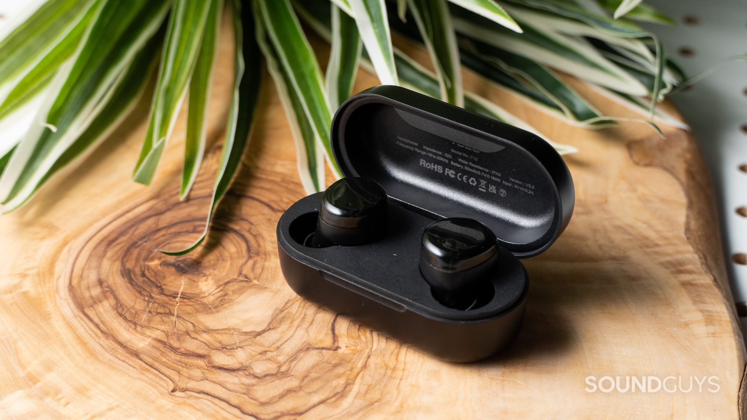 TOZO T12 earbuds on a table with a plant in the background