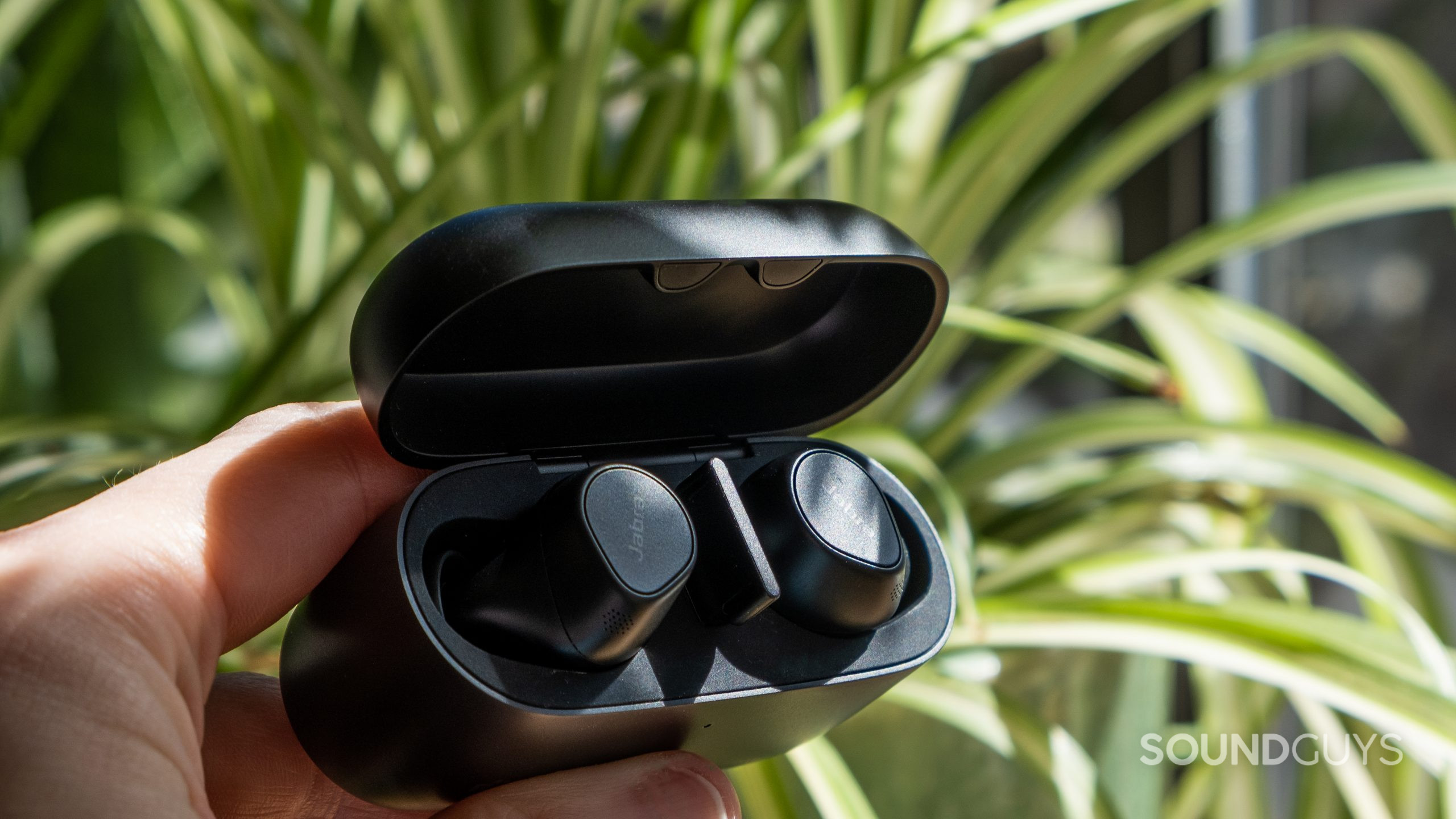 A hand holds the open case of the Jabra Evolve2 Buds in front of a fern.