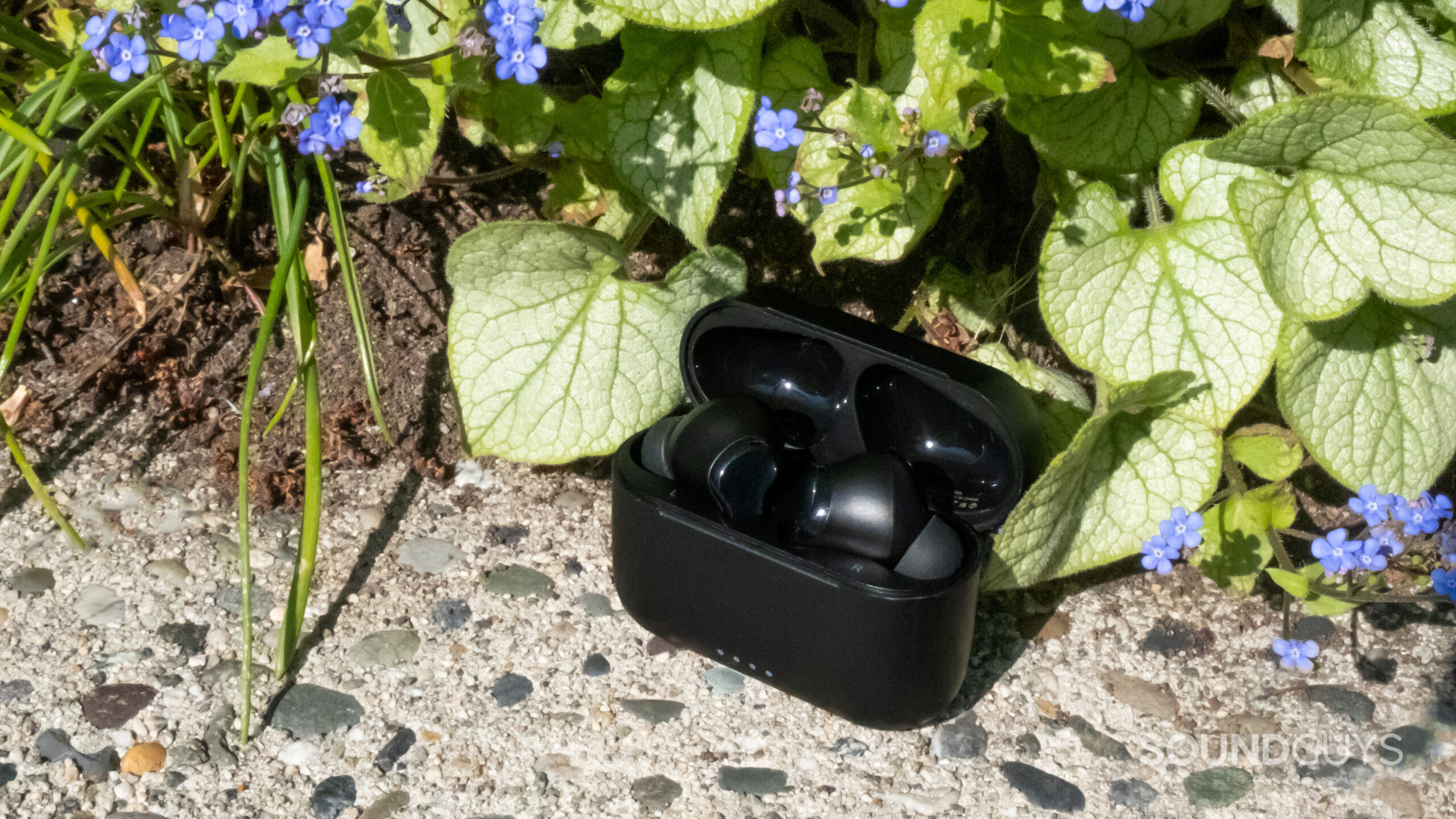 The TOZO NC2 sits on a bit of concrete with the lid open to show the buds with some flowers in the background.