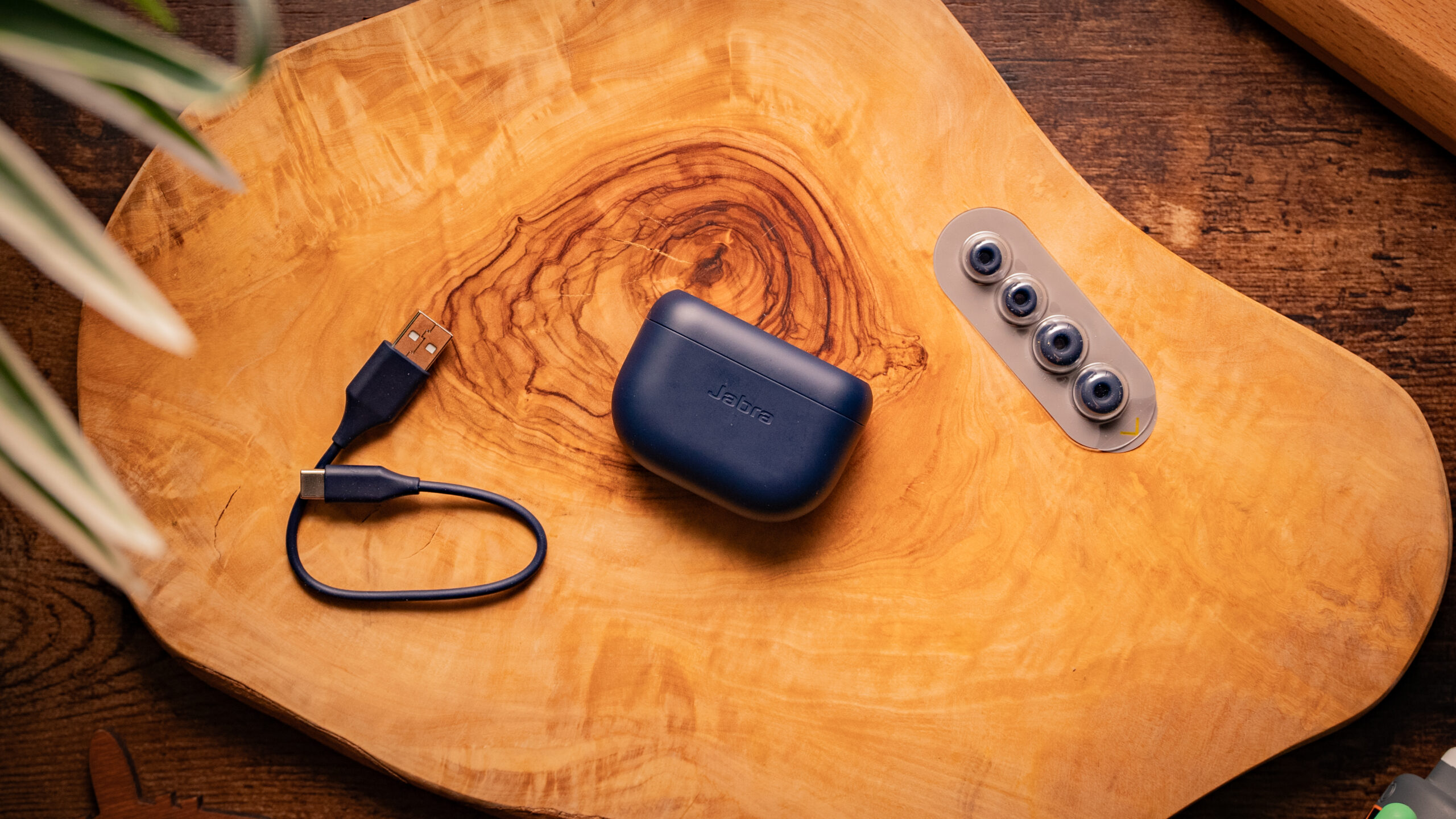 The Jabra Elite 8 Active case, USB-C cable, and ear tips spread out on a wood surface.
