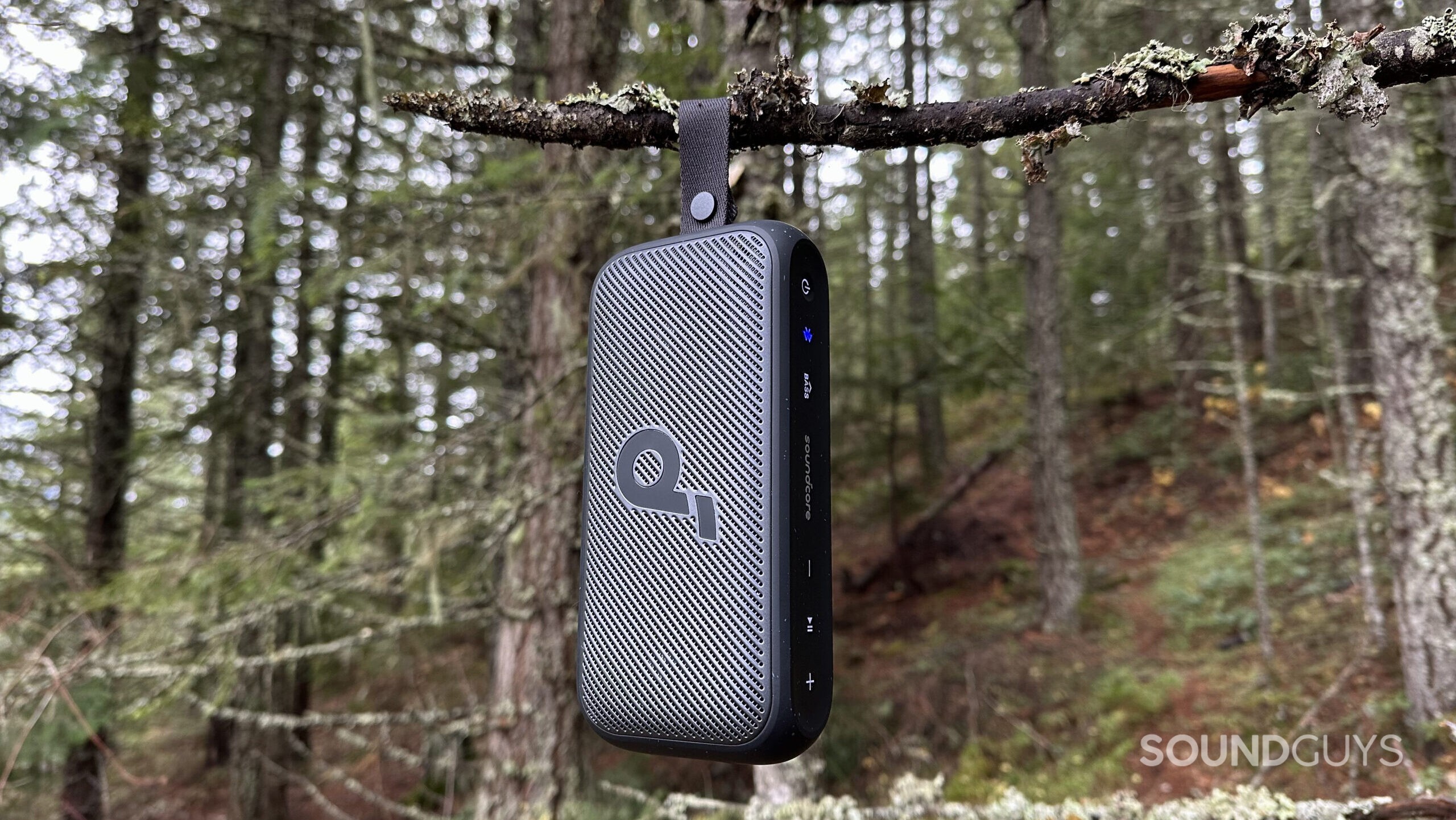 The Anker Soundcore Motion 300 hanging from a tree branch.