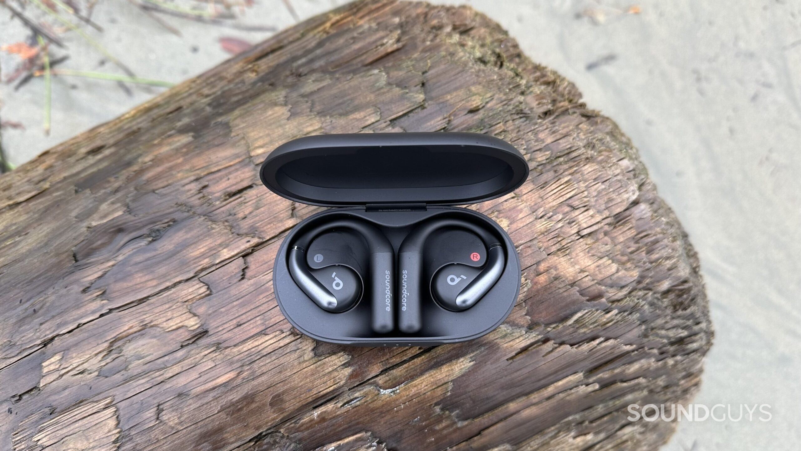 AeroFit earbuds in their charging case.