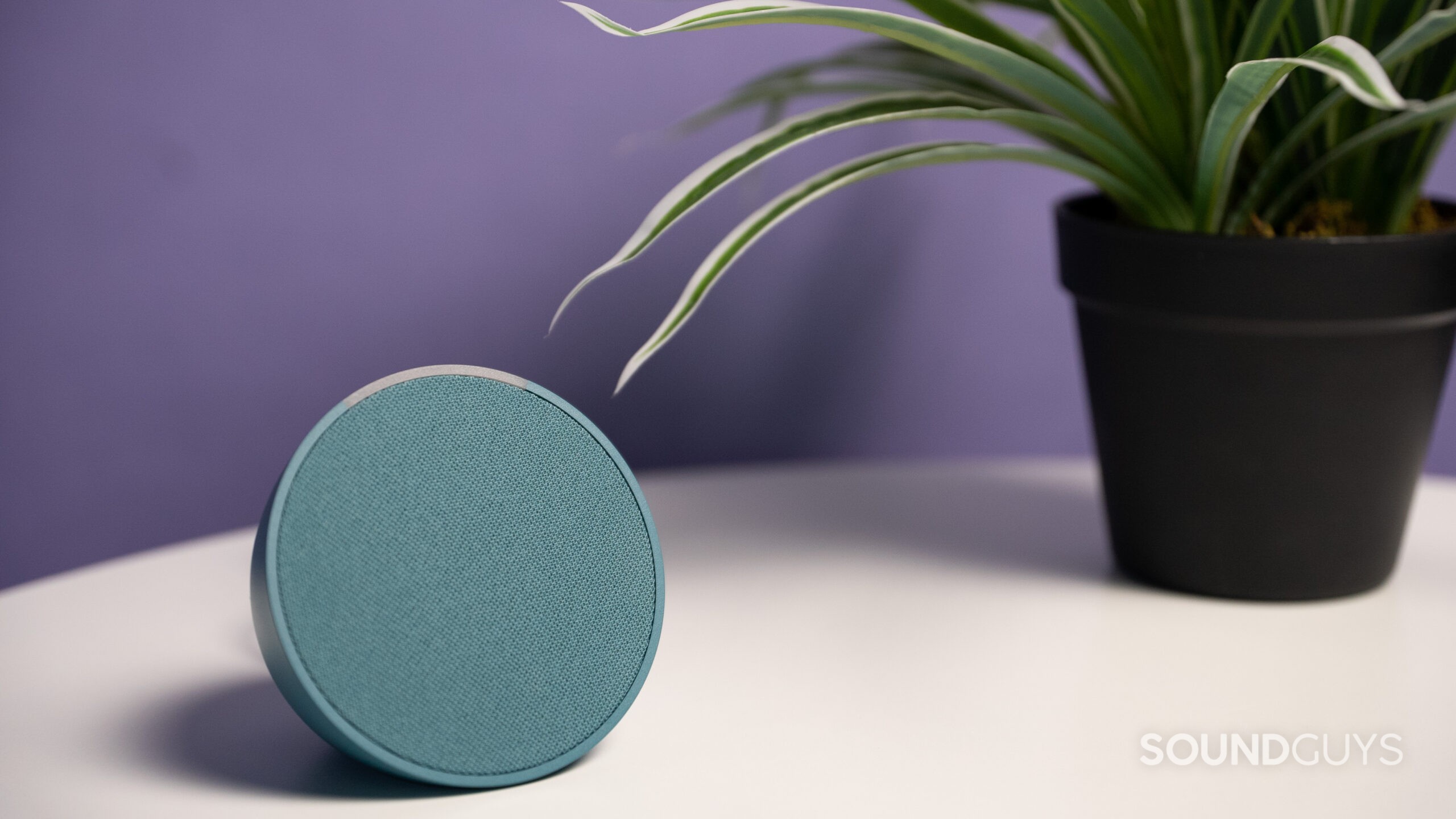 Amazon Echo Pop on a table next to a plant.