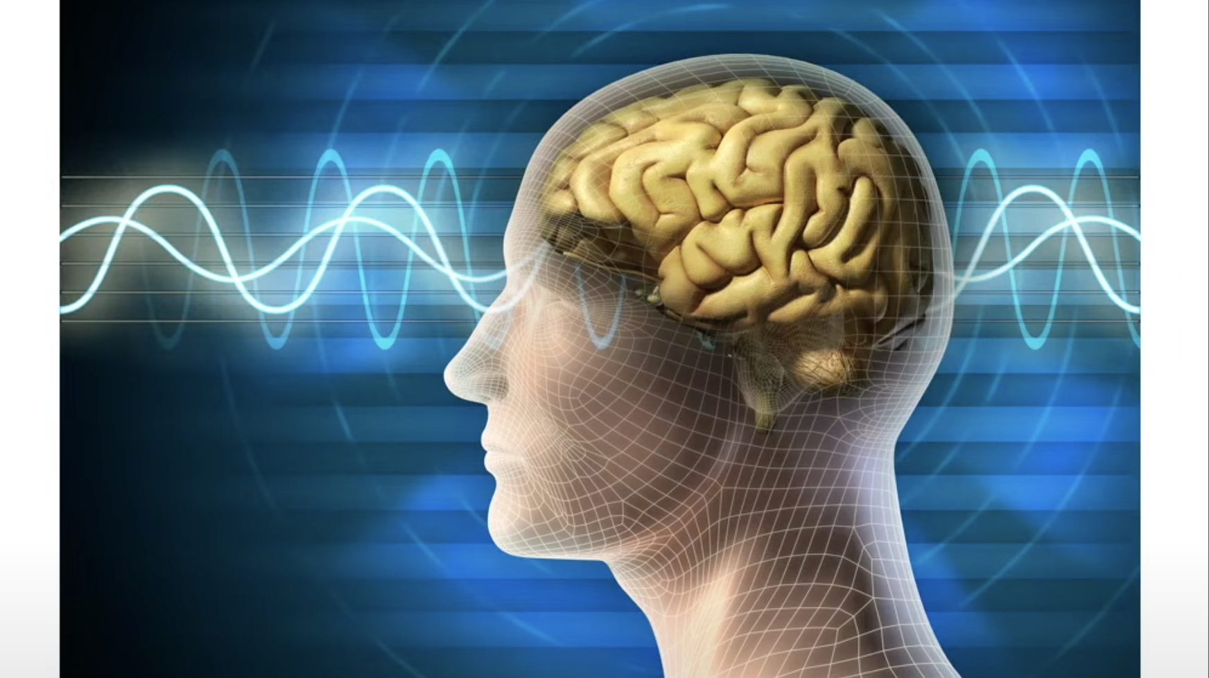 Illustration of a human head exposed to sound waves showing internal brain detail