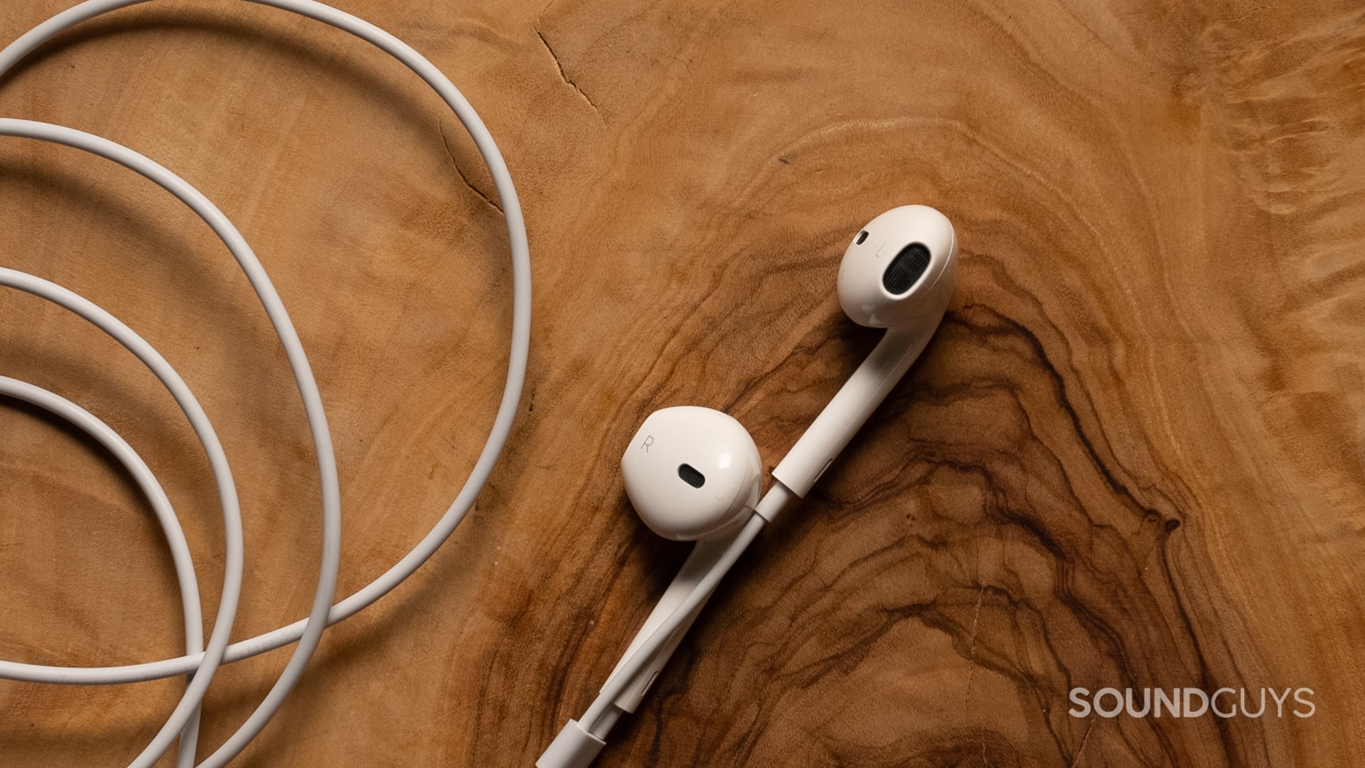 The Apple EarPods sitting atop a piece of dark-grained wood.