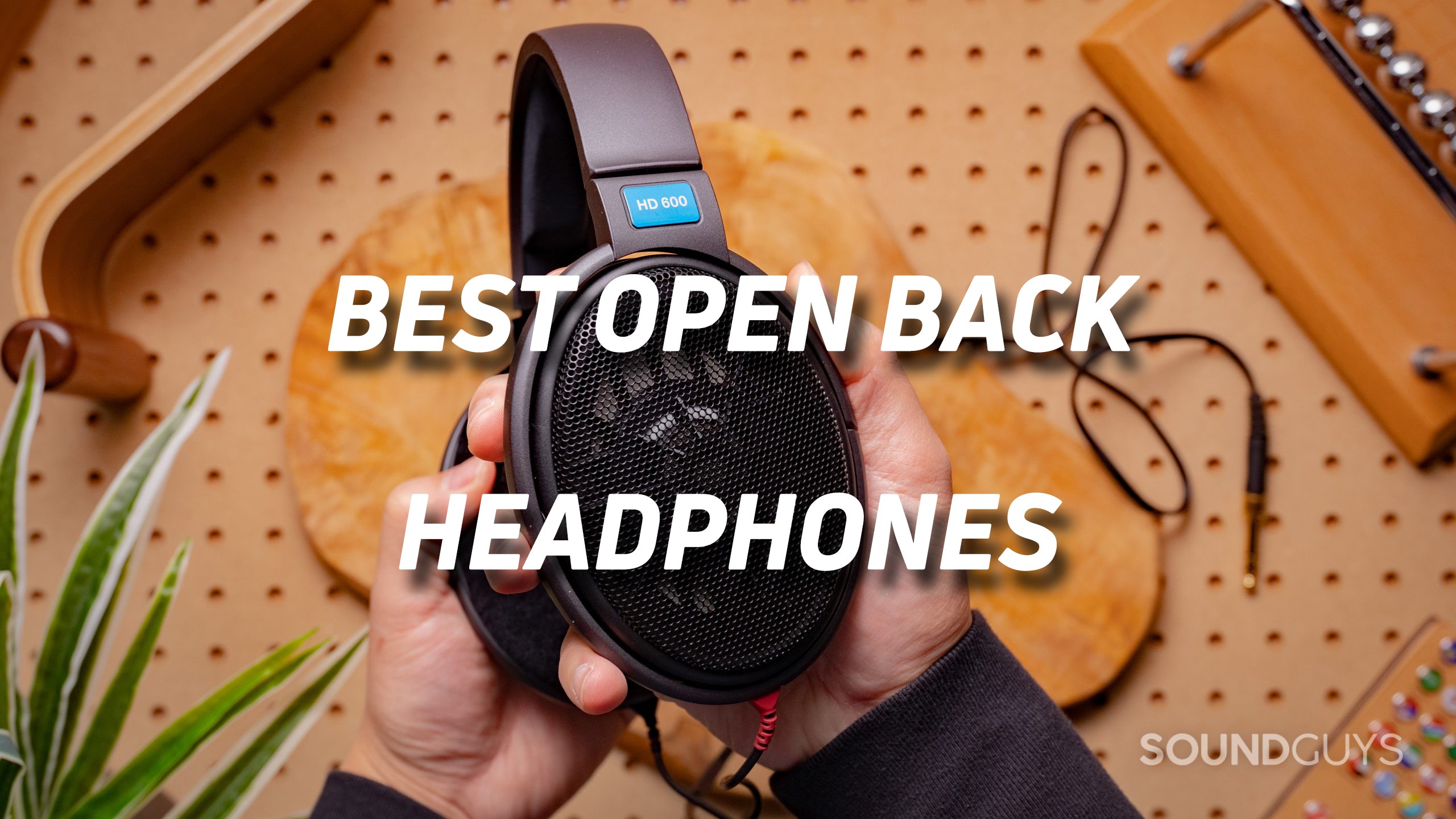 Image showing the mesh Sennheiser HD 600S ear muff with text overlaid.
