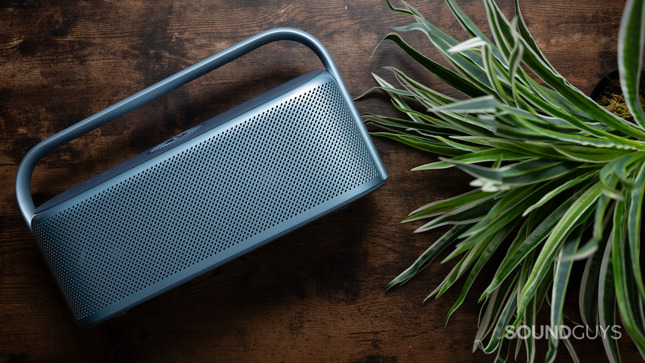 Anker Soundcore Motion X600 next to a plant.